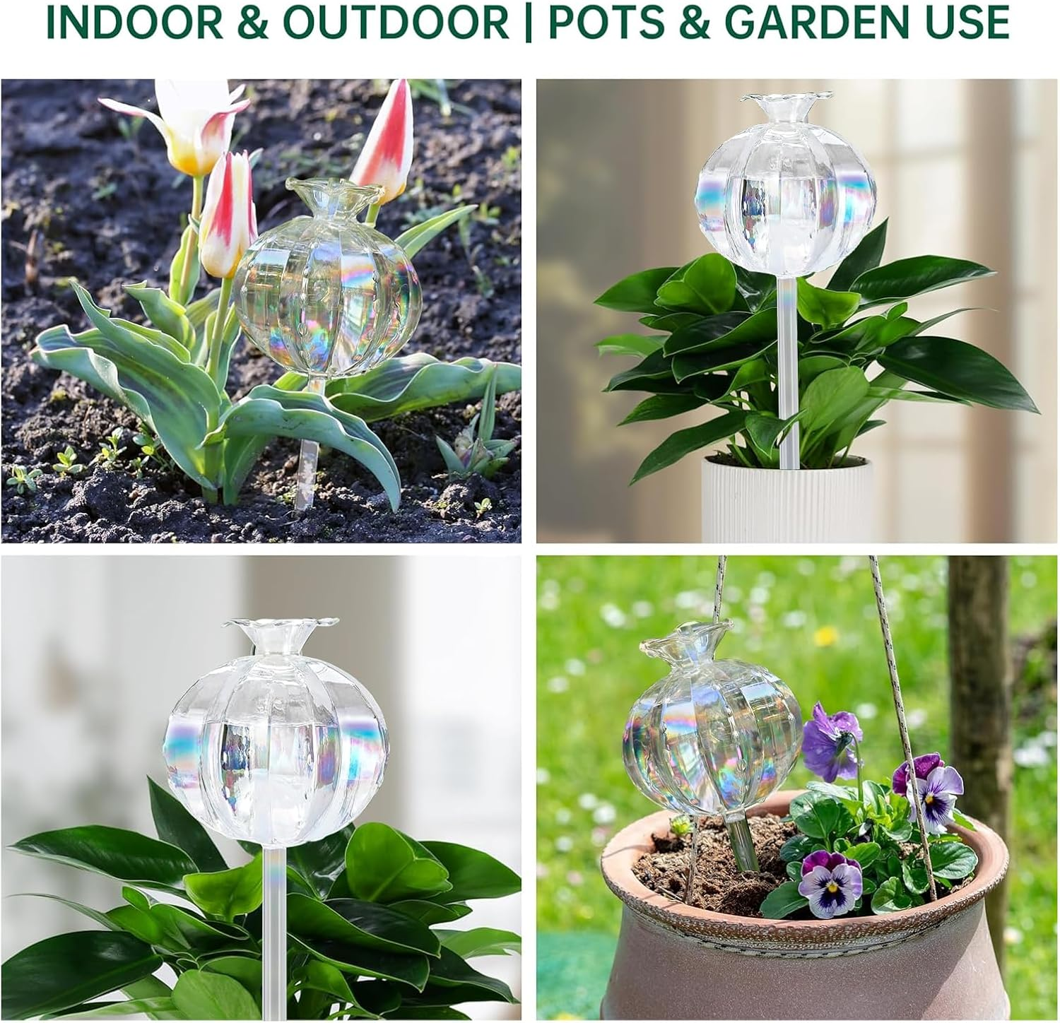 Aiiyiihii 4 Pack Plant Watering Globes, Pomegranate Shape Clear Glass Water Bulbs for Indoor Plants, Decorative Automatic Water Globes for Outdoor Plants, Glass Plant Waterer Self Watering Spikes image number 3