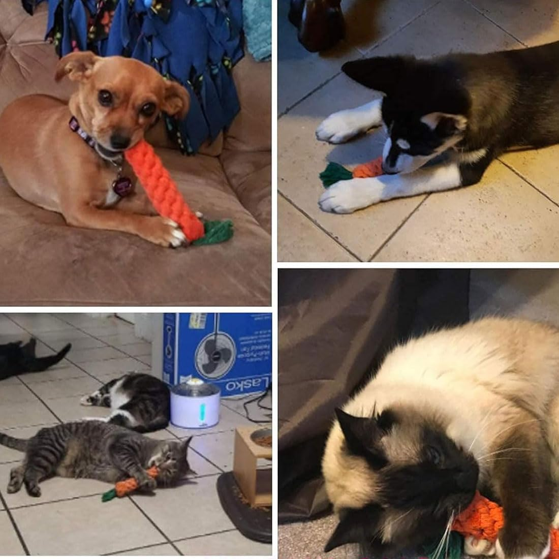 YOCDNOV Pack of 2 Dog Toys Carrot - Carrot Rope Toy Braided Interactive Chew Toy Puppy Carrot Rope Toy Braided Interactive Dog Toy (22 X 3 Cm) image number 2