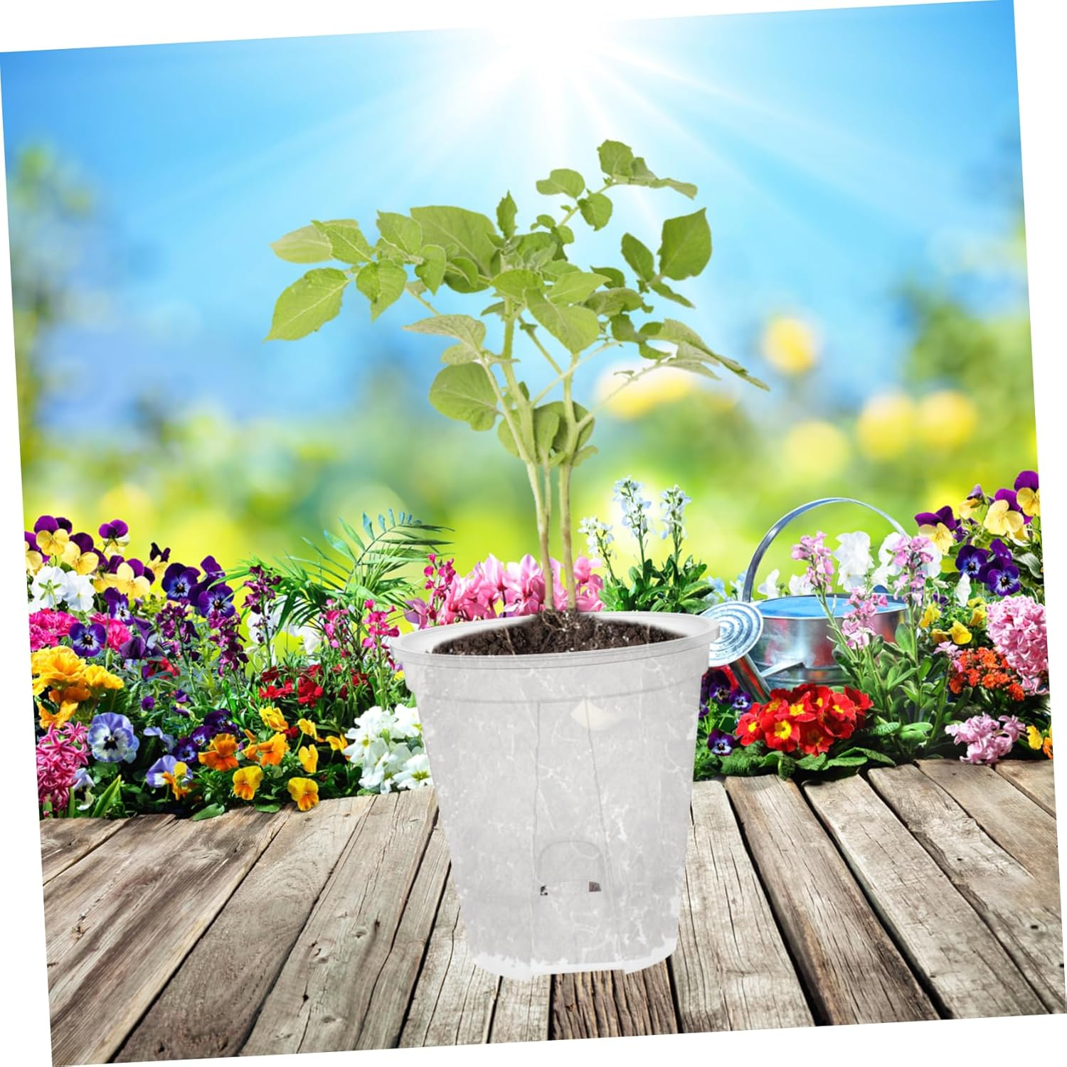 Outanaya 6Pcs Clear Pots with Holes for Indoor Plants Self-Drainage Transparent Planter for Healthy Growth and Ample Water Supply for Greenhouse and Home Gardening