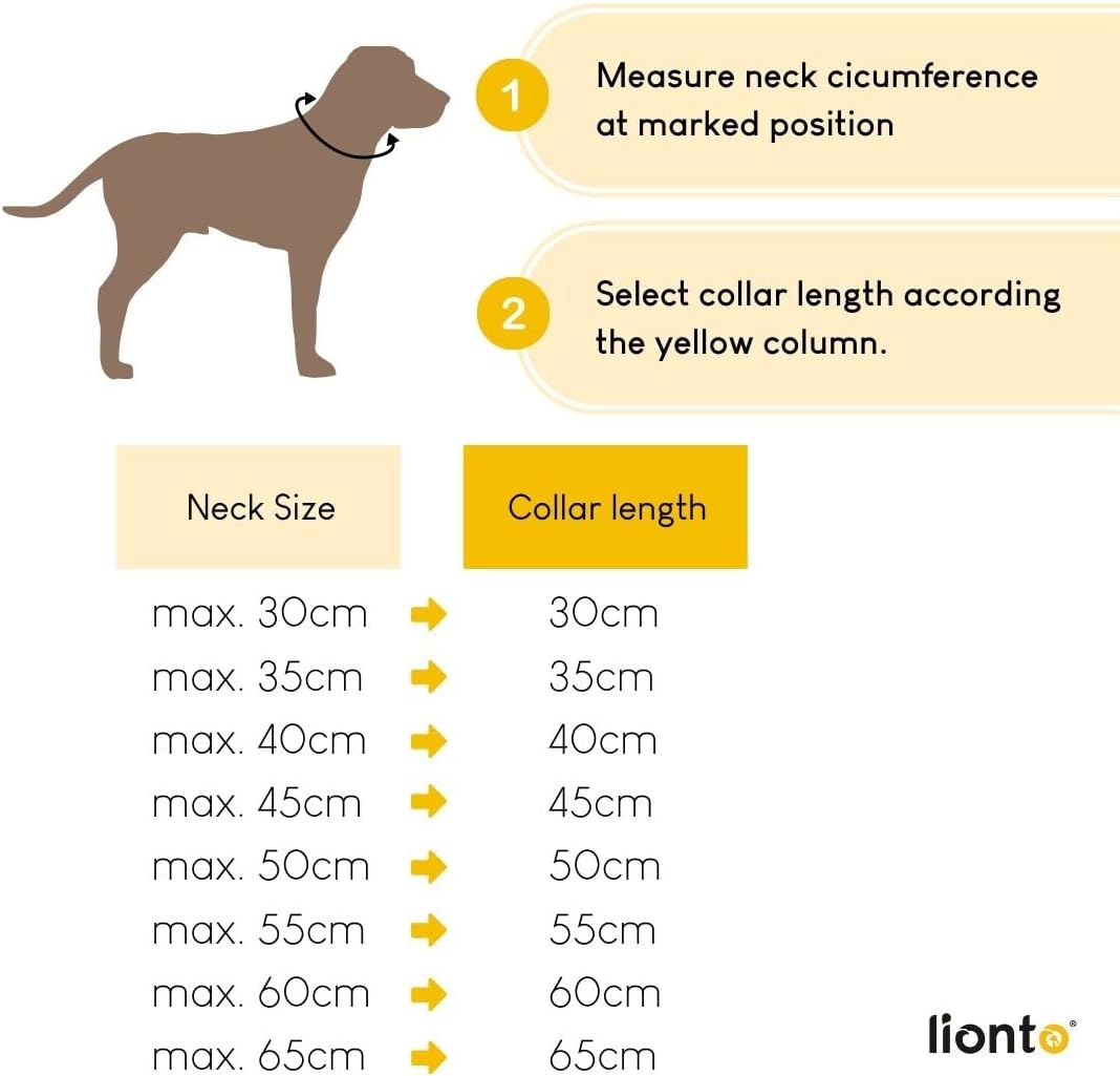 Dibea Retriever Dog Collar Dressage Collar Length 45 Cm Diameter 1 Cm Red image number 3