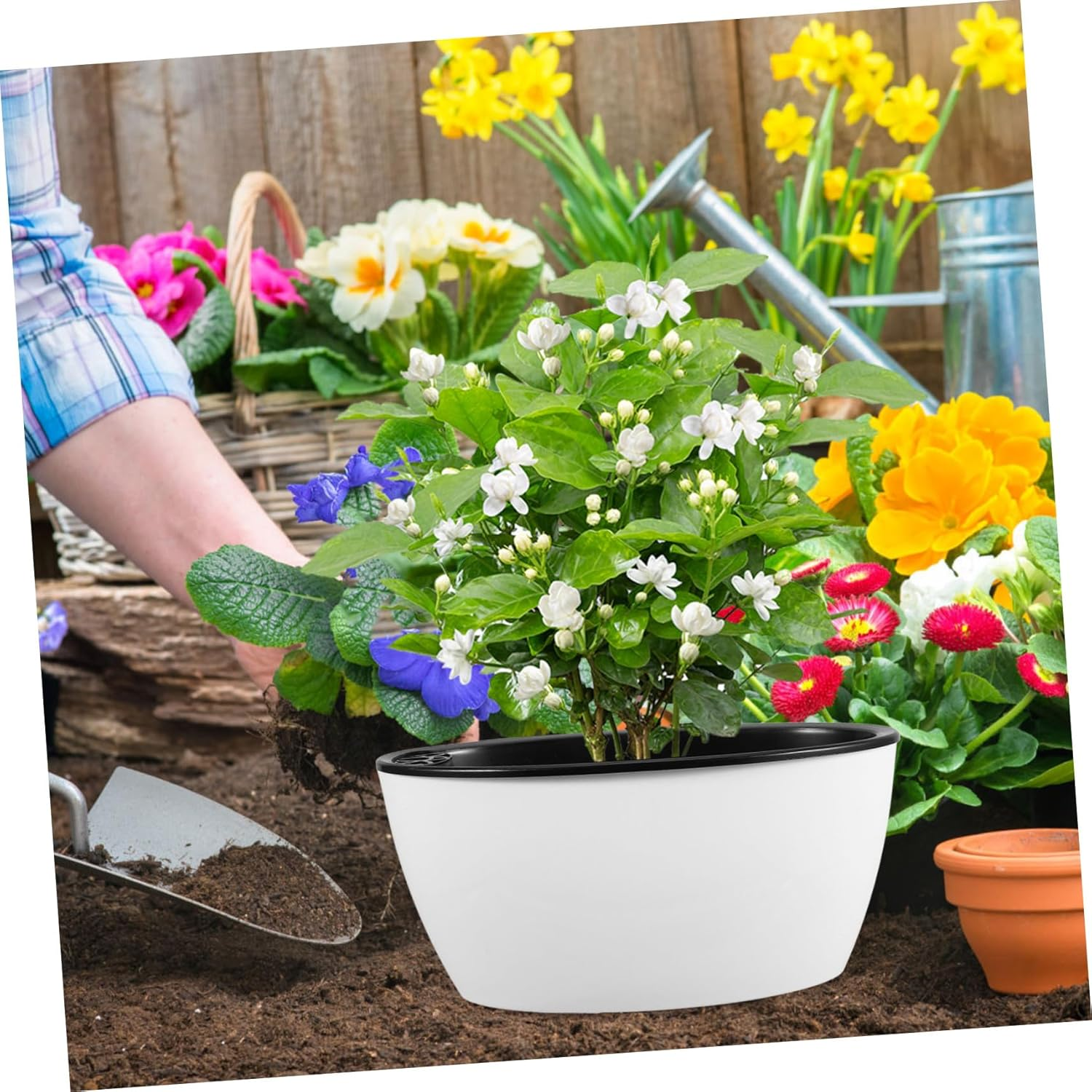 GAROZATION Self Watering Plant Pot with Visible Water Level for Indoor and Outdoor Gardening, Small L04 Plastic Hydroponic Planter Pot with Automatic Water Supply, Garden Flowerpot for Home image number 5