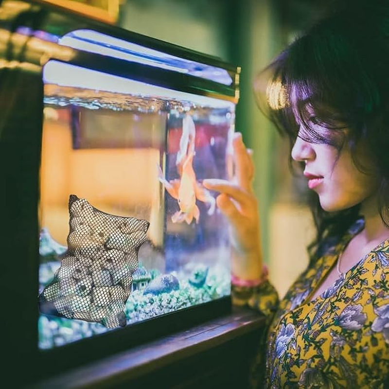 50Pcs 7.8 X 5.9 Inch Aquarium Filter Media Bags Mesh Reusable Bagswith Zipper for Activated Carbon, Biospheres, Ceramic Rings image number 2