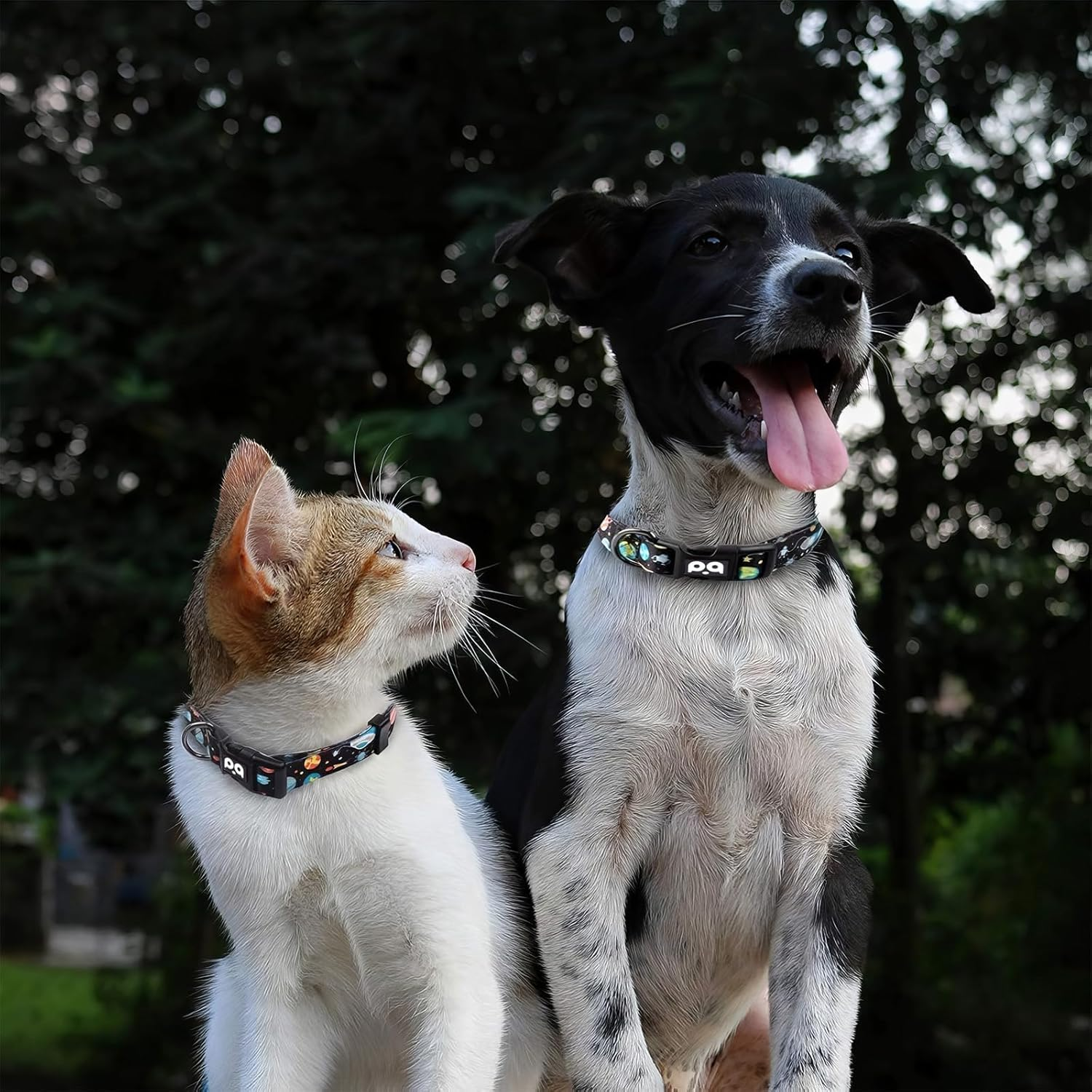 RTRTGS Dog Collar, Dog Collar for Puppies, Small, Medium, Large Dogs, Patterned Dog Collars, Adjustable, Robust Dog Collar image number 1