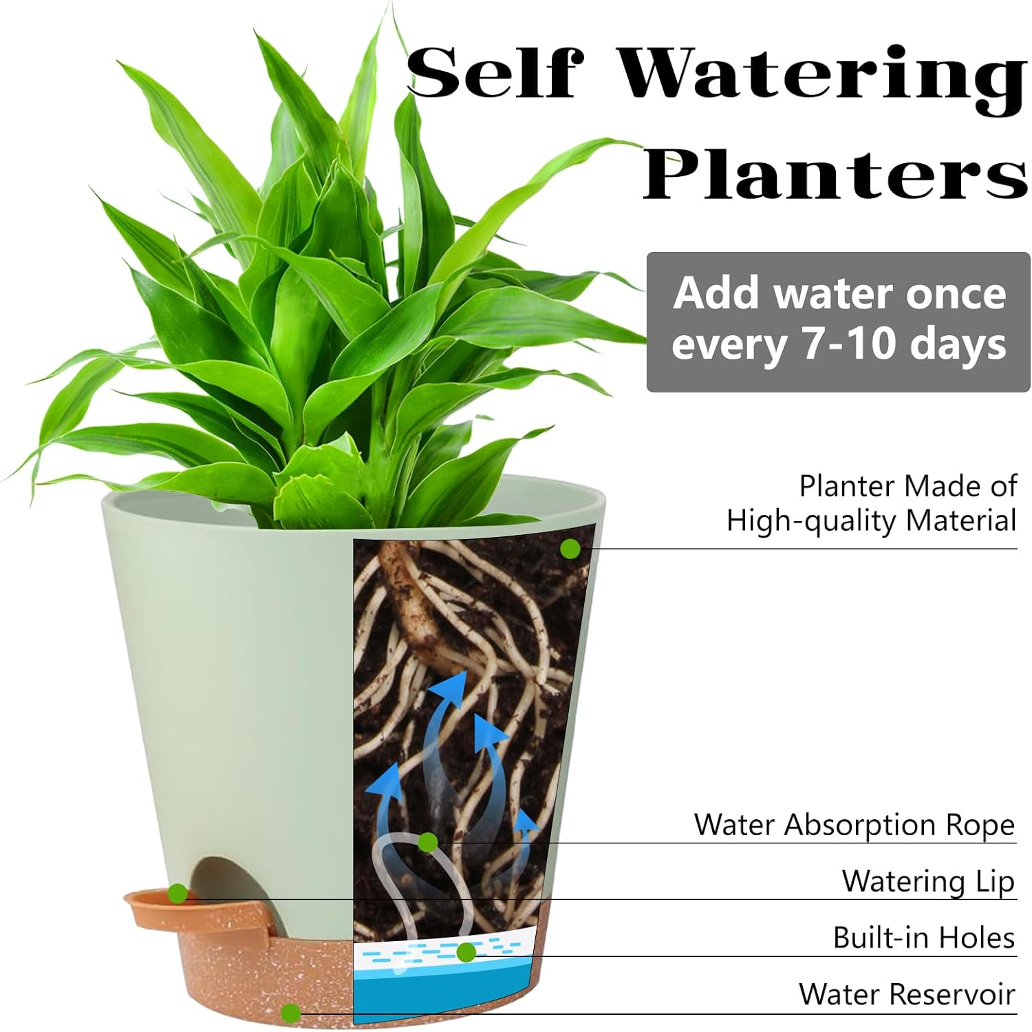 12Inch/2Pcs Self Watering Green Plastic Plant Pot Flower Planters with Drainage Hole and Deep Reservoir Large Planting Pots for for All Houseplants,Succulent, African Violets, Flowers and Cactus image number 2