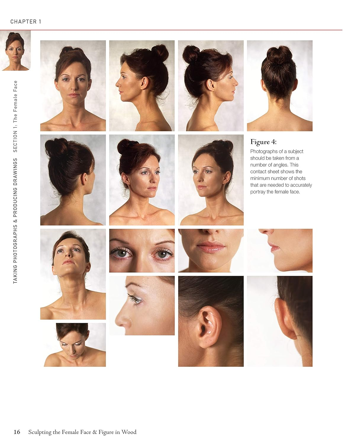 Sculpting the Female Face & Figure in Wood: a Reference and Techniques Manual image number 5