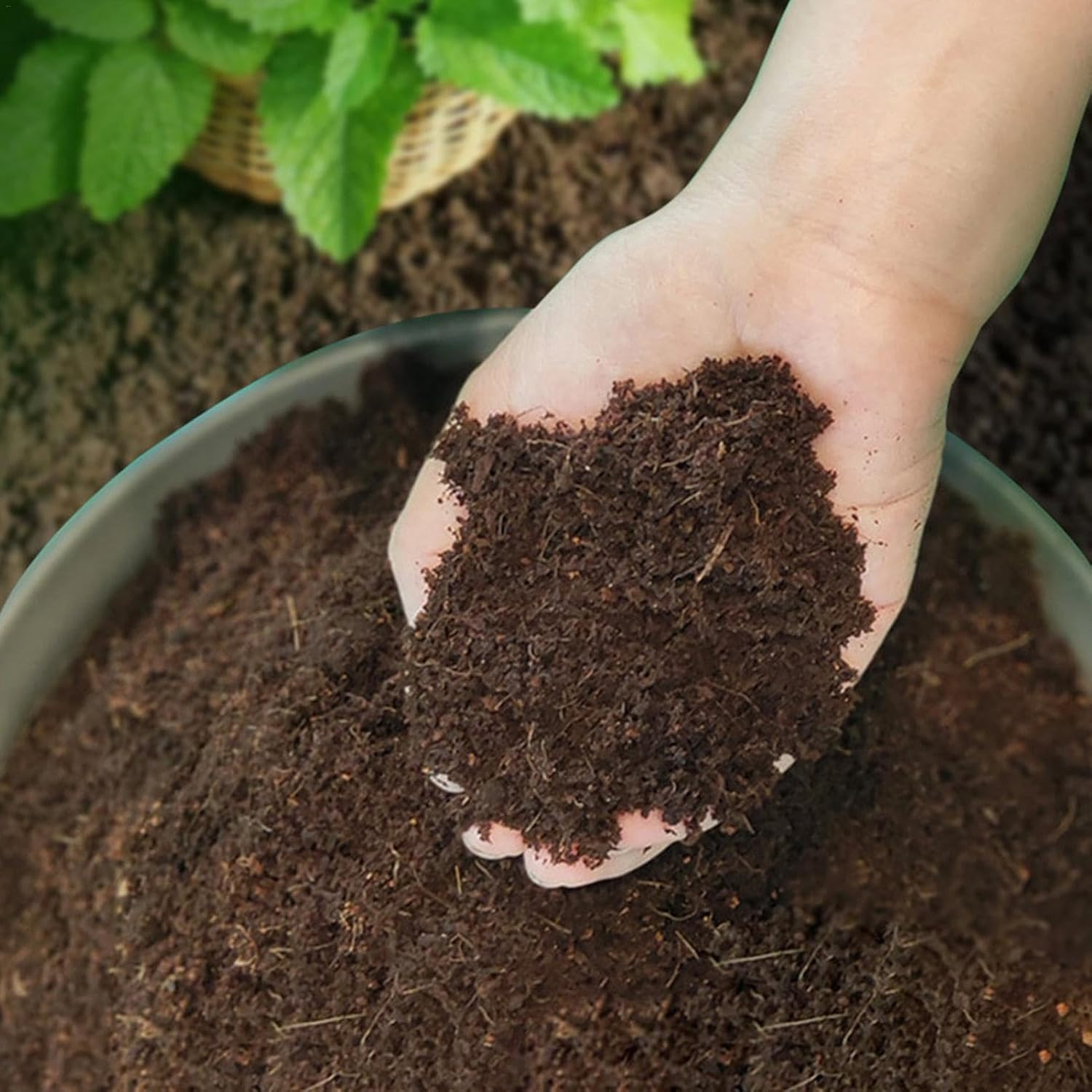 Coco Peat | Organic Coco Coir Chips with Low EC and PH Balance - Natural Coconuts Fiber, High Expansion Plant Soil, Gardening Supplies for Fruit Vegetable Crops image number 5