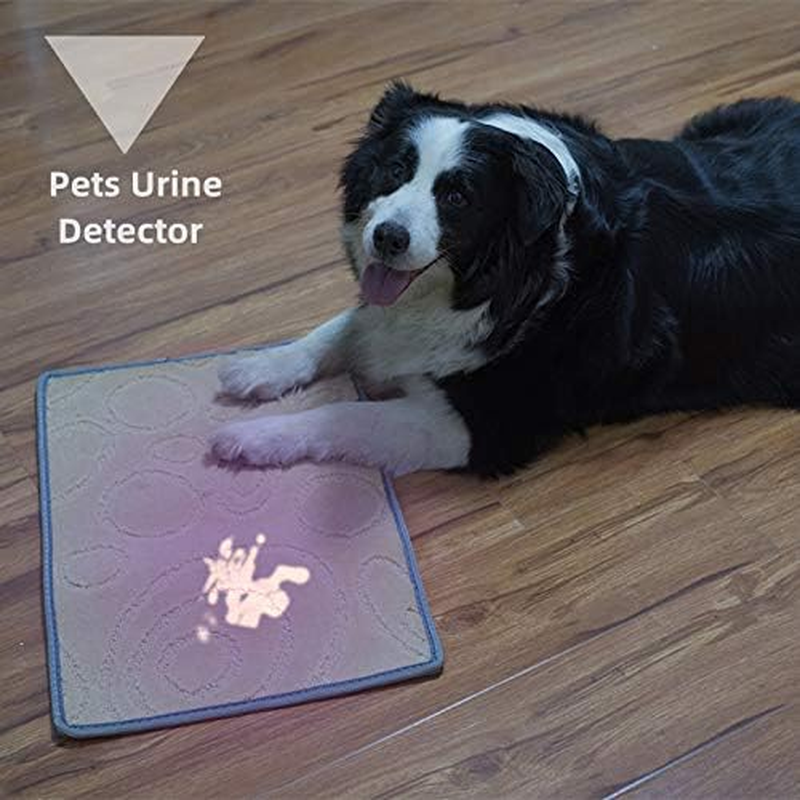 Weltool Professional UV Flashlight 365Nm UV-A Black Light Max. 2060Mw High Power for UV Glue Curing, AC Leak Detector Rocks and Mineral Glowing, Pet Urine Detector, Non Destructive Testing image number 5