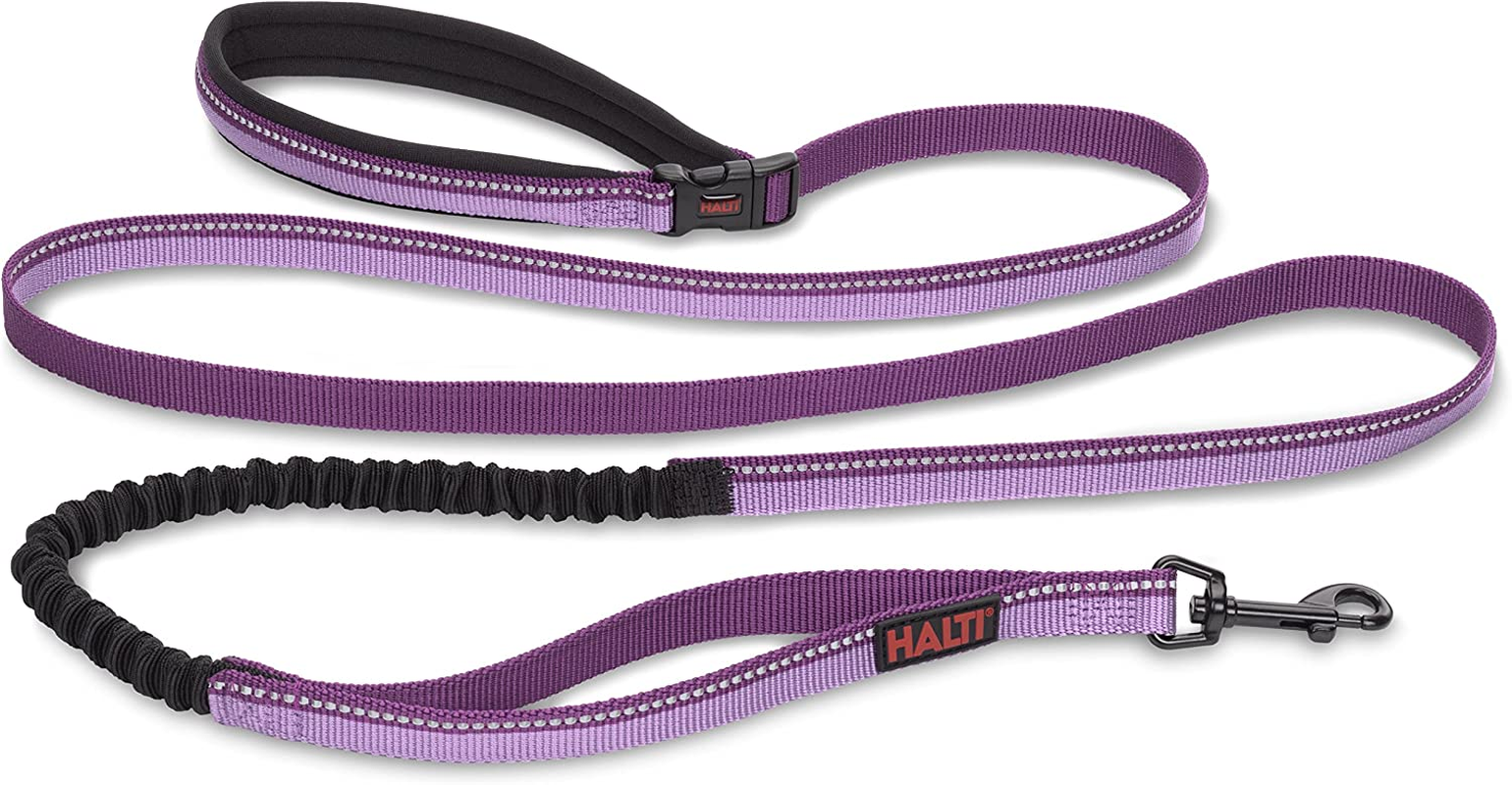 HALTI Active Lead - Award-Winning Bungee Dog Lead, Shock-Absorbing Anti-Pull Dog Leash, All-In-One Neoprene Padded Belt & Lead, Ideal for Running & Training with Medium & Large Dogs (Size L, Purple)