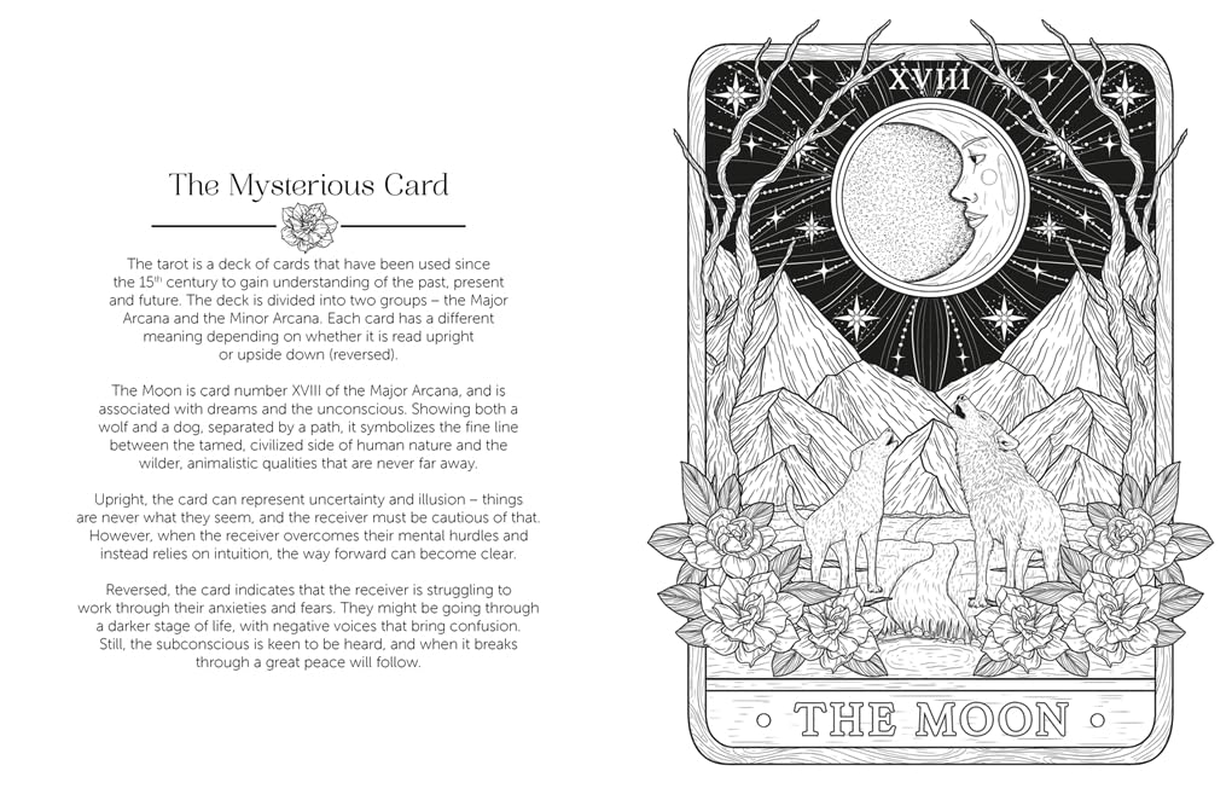 Luna Colouring: Embrace the Magic of the Moon image number 2