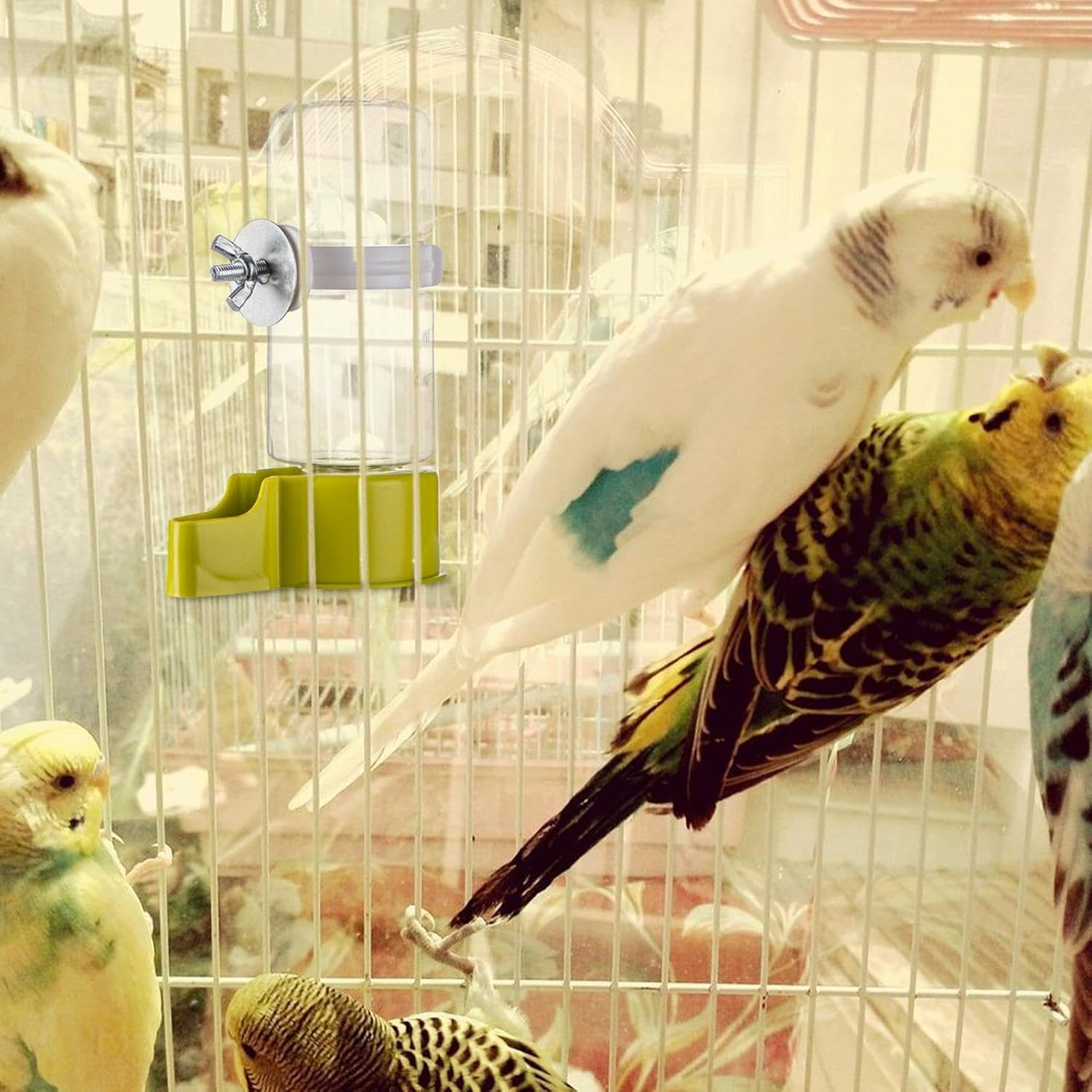 Automatic Bird Water Dispenser - 140ML Large Capacity Parrot Water Dispenser - Spill Proof Water Dispenser for Rutins, Budgies, Finches, Starlings