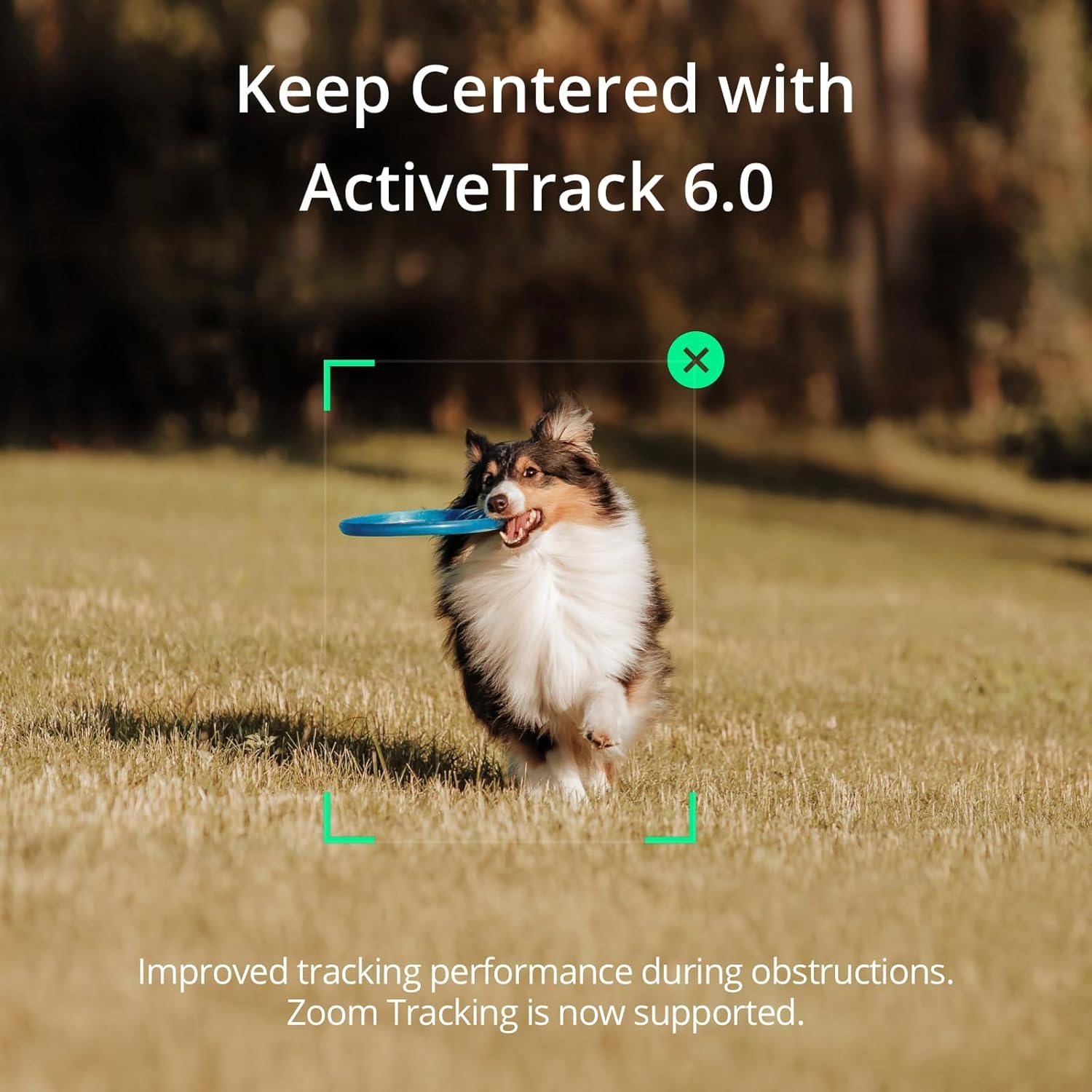 DJI OSMO Mobile SE Intelligent Gimbal, 3-Axis Stabilization, Portable and Foldable, Android and Iphone Gimbal with Shotguides, Smartphone Gimbal with Activetrack 6.0, Vlogging Stabilizer, Youtube image number 6