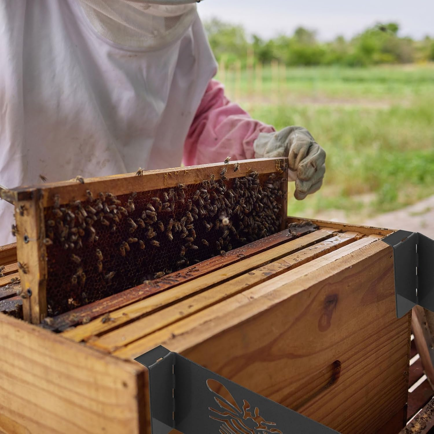 2Pcs Beehive Inspection Bracket, Bee Frame Holders Iron Bee Hive Stand for Honey Harvesting & Inspection Bee Boxes and Frames Starter Kit Beekeeping Supplies (Black)