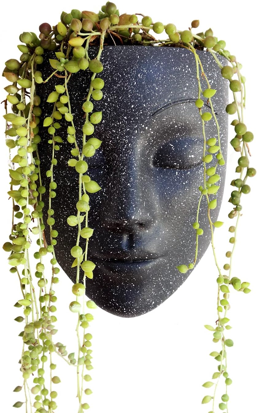 Wall Planter | 7 Colors Avail | Unique Face Planters Pots Head Planter - Plant Gifts for Indoor Plant Lovers Gift Ideas - Face Planter Gifts for Plant Lovers, Succulent Plant Gift - Black image number 6