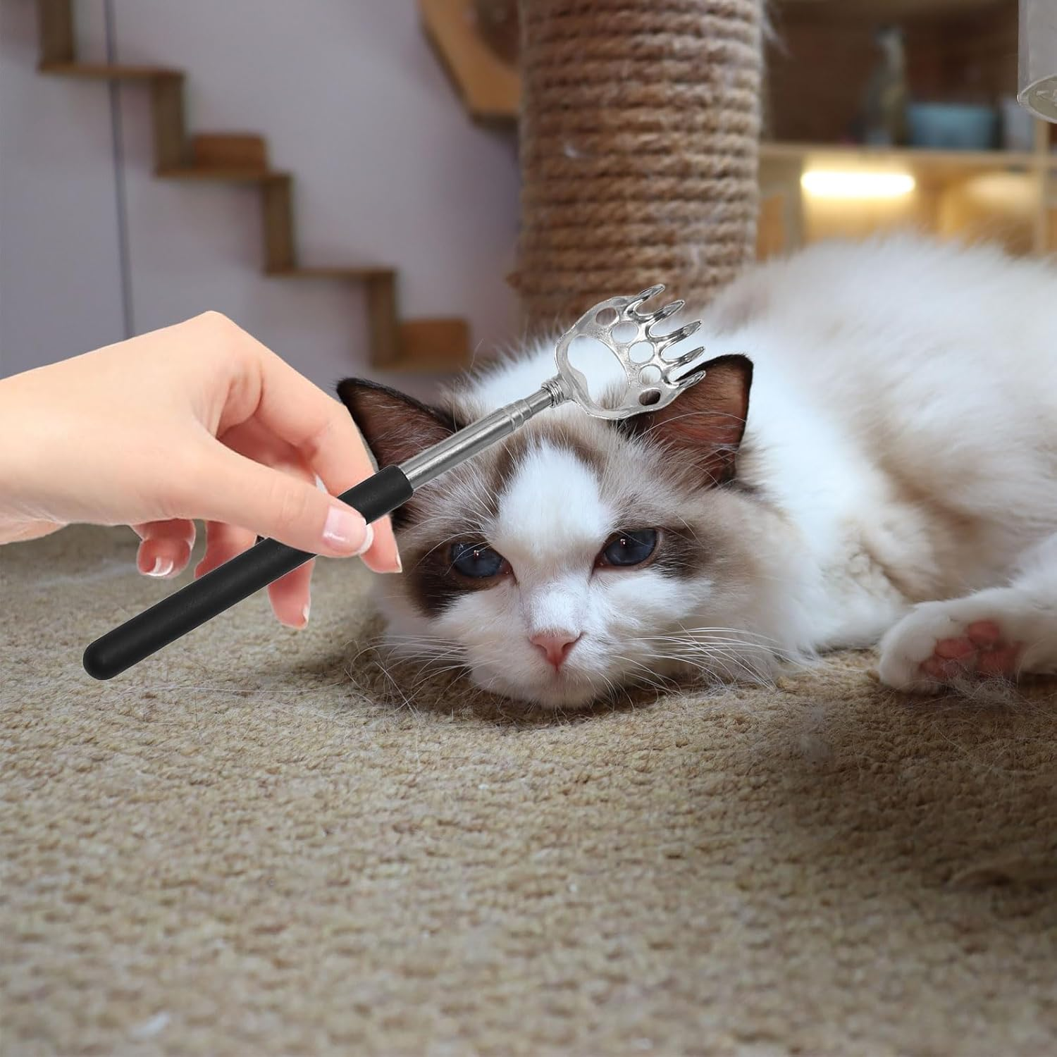 5PCS Telescopic Back Scratcher, Extendable Back Scratcher with Rubber Grip Handle and Bear Claw, Eagle Claw, Backs Scratchers for Men Women Kid Adults image number 3