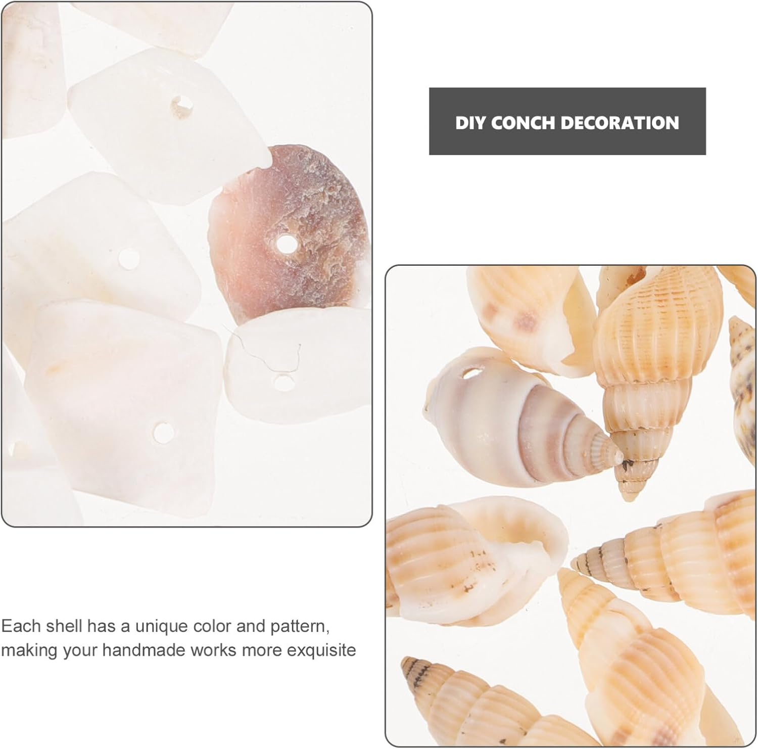 SOLUSTRE 1 Box Natural Tiny Shells Small Sea Shells Decorative Conch Miniature Seashells Decors for DIY Bottle Ornament Wall Art Beach Party Decor Fish Tank Vase Filler