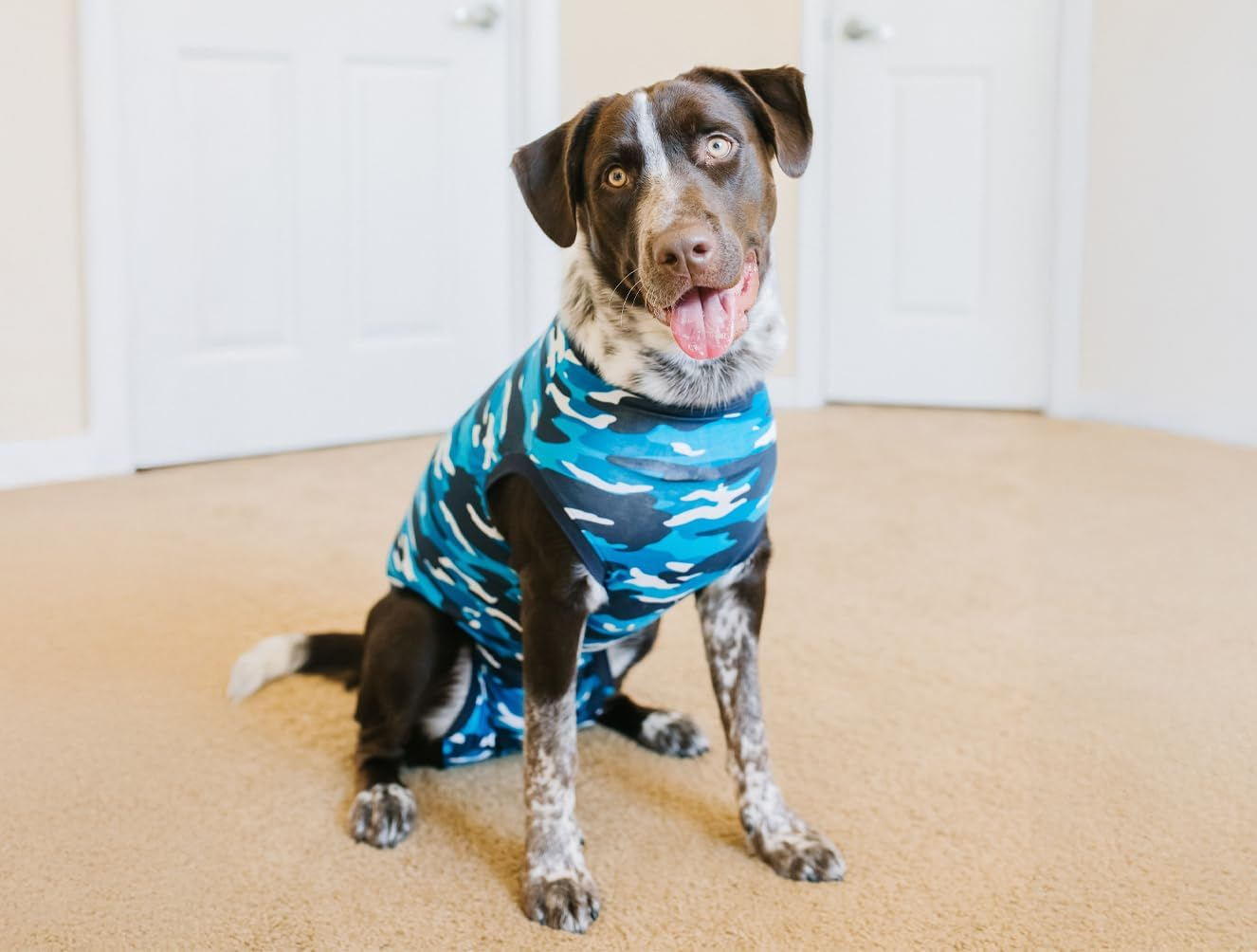 Suitical Recovery Suit Dog, Xx-Small, Blue Camouflage image number 4