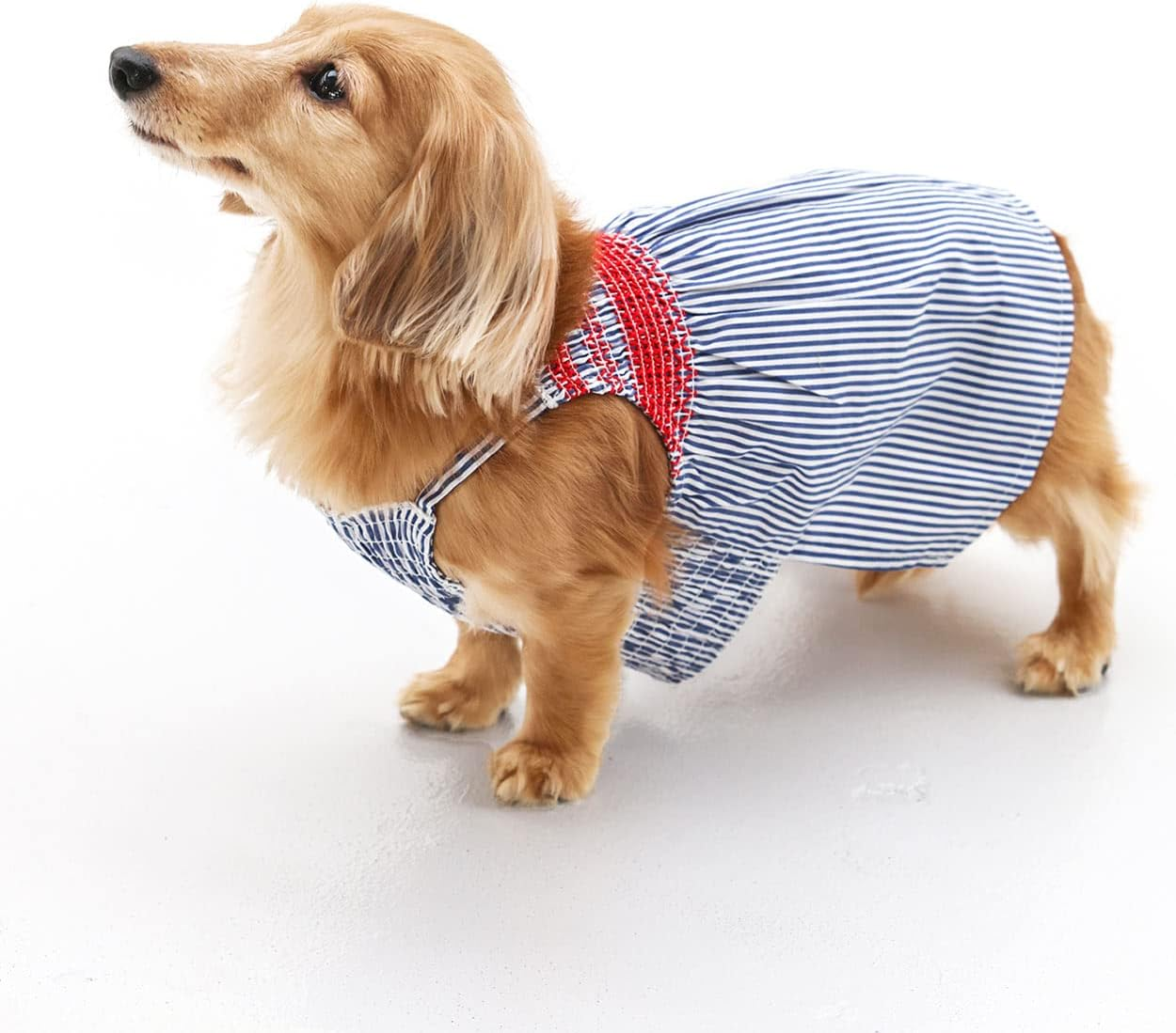 Dog Life Striped Cami Blue Dog Large