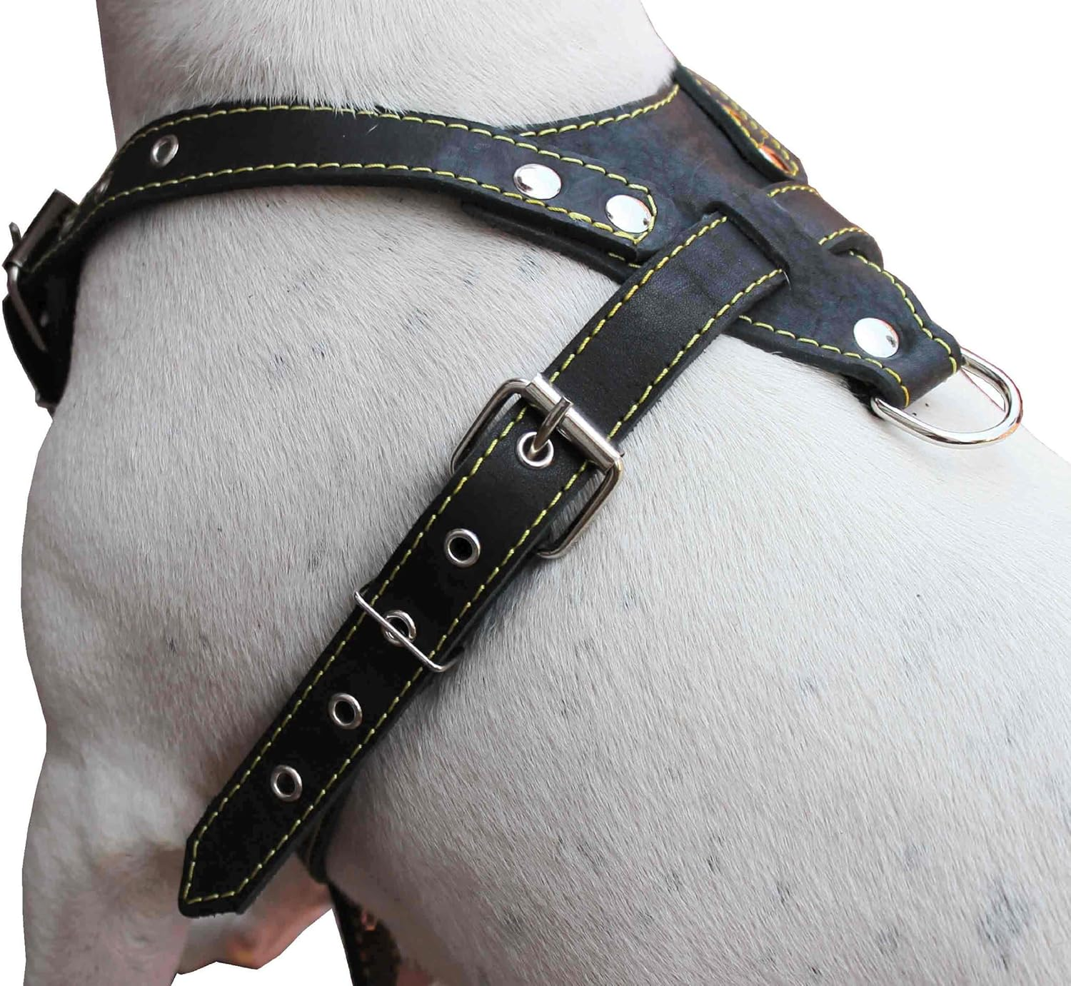Black Genuine Leather Dog Harness, Medium. 25.5"-29" Chest, 1" Wide Adjustable Straps image number 4