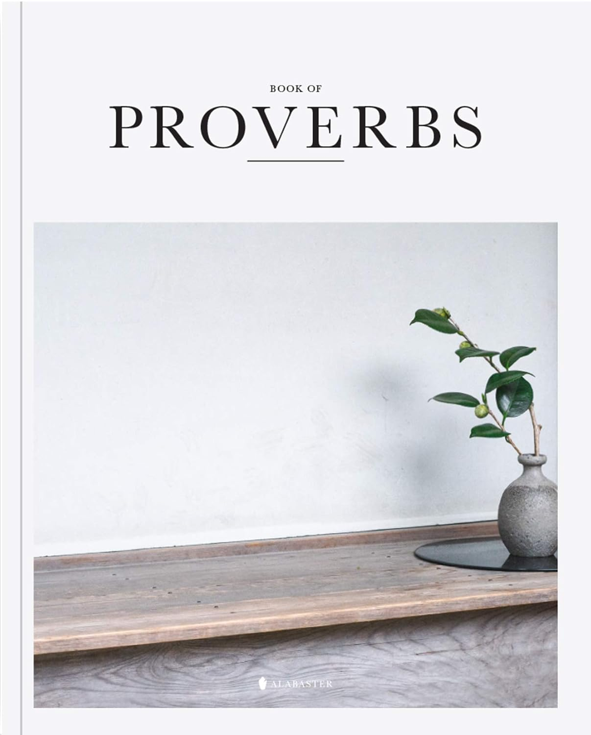 Book of Proverbs (Sc, Nlt) image number 5