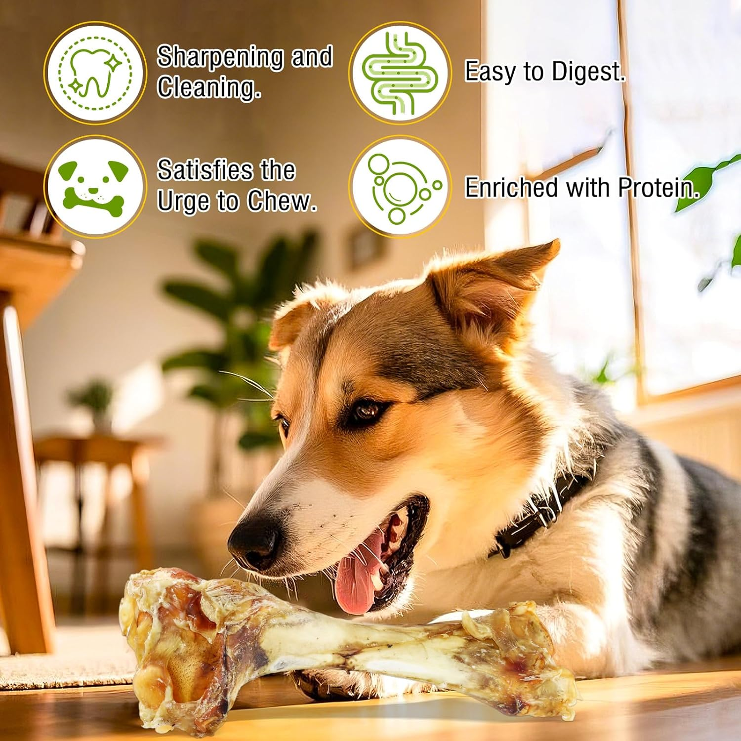 Xcdsxer Giant Dog Bone Stick，Dental Health Dog Treat - Natural, Bite-Resistant & Teeth-Cleaning, Chew Toy for Medium and Large Dogs, 100% Grass-Fed Beef Bone for Canines (2Count) image number 4