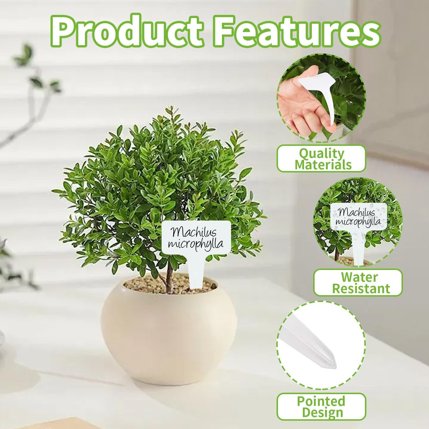 Funcyboo 150 PCS Plant Labels Plastic T-Type Tags, 2.4 X 4 Inch Outdoor Waterproof Plant Markers Reusable Garden Signs for Potted Garden Vegetable Seedling Labeling(White) image number 1