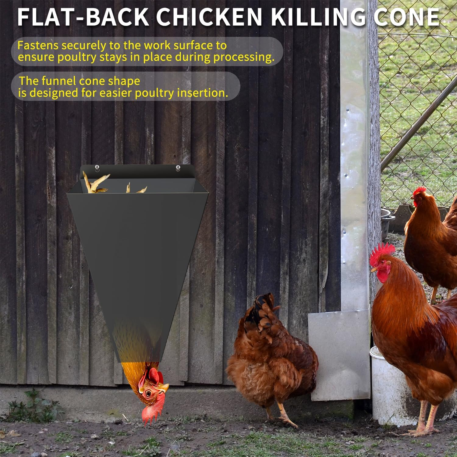 Medium Size Chicken Cone, Heavy Duty Steel Poultry Restraining Cones for Chicken, Flat Back Funnel Design, Killing Cone for Layers, Broilers, Roasters, Turkeys up to 8 Pounds, Easy to Clean image number 2