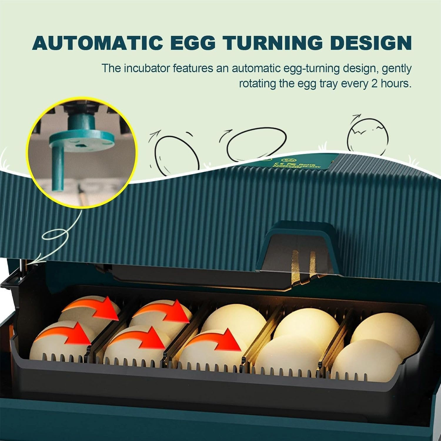 Premium Egg Incubator, Automatic Egg Hatching Incubator, 10 Eggs Poultry Hatcher with Automatic Temperature Control for Hatching, Chicken, Duck, Goose, Quail, Bird Eggs (Green) image number 3