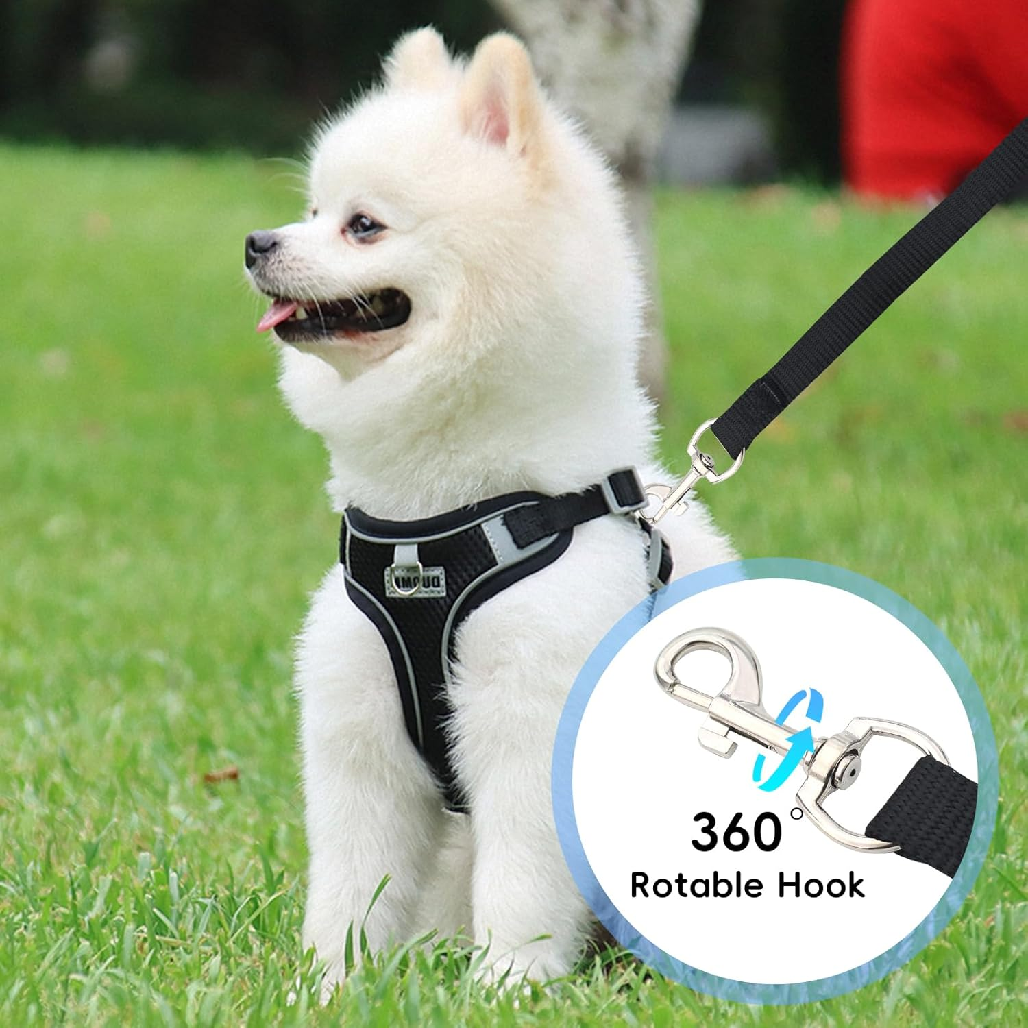 Cat Harness with Lead, Escape Proof, Adjustable Cat Harness, Escape Proof, Soft and Breathable Mesh, Cat Lead Harness for Cats and Small Dogs, Outdoor Training image number 2