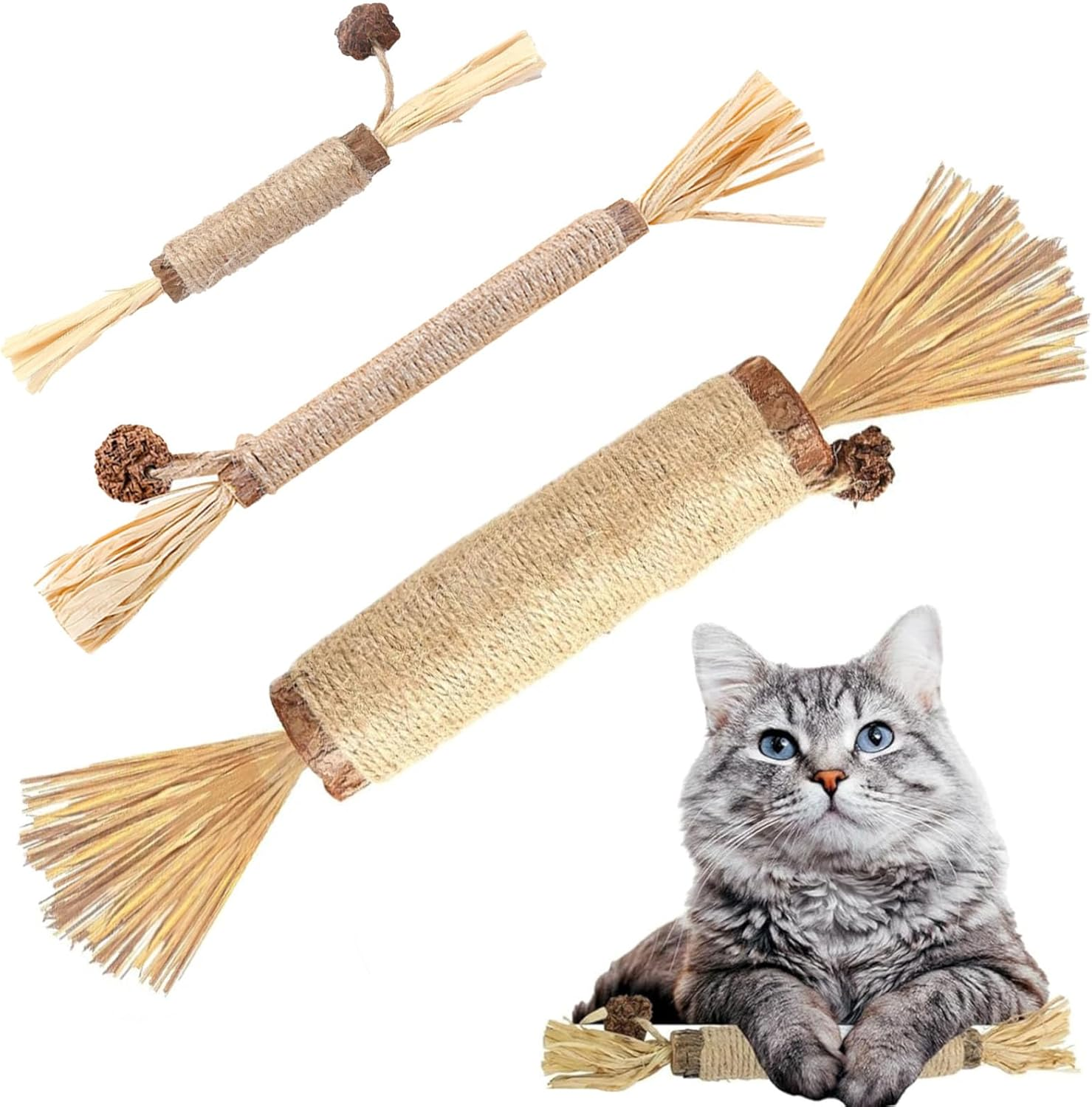 JCBCKJ 3Pcs Cat Stick Wood Polygonum Natural Silvervine Sticks Cat Teeth Cleaning Wood Stick Kitty Teething Sticks Pet Chew Wooden Sticks Pet Toy Accessories image number 1