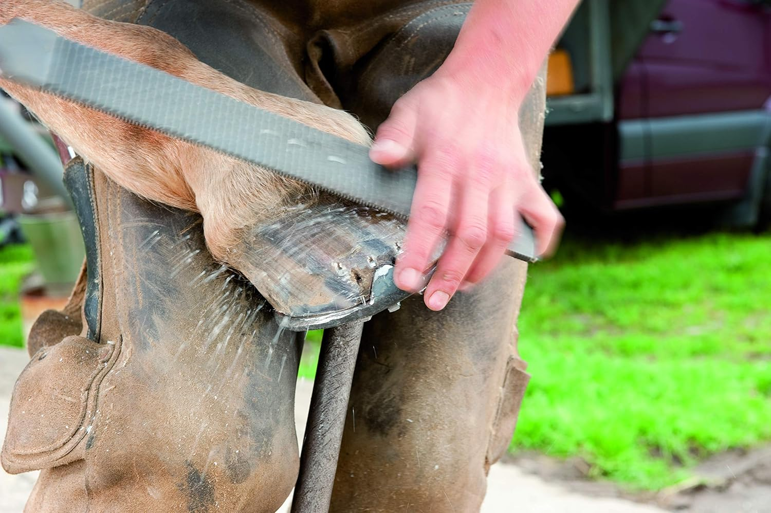PFERD - Hoof Plane, Efficient, Force and Back-Friendly Hoof Processing, 350 Mm, Rectangular, Flat-Blunt Milled File, 13180350 - Also Suitable for Processing the Hoof Nails after Cutting image number 5