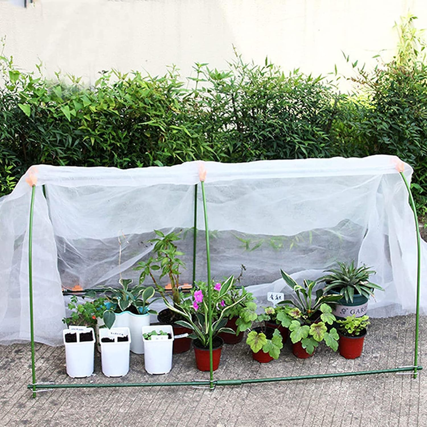 PALUDO 2 X 3M Extra Thick Clear Heavy Duty Polythene Sheeting, Plastic Dust Waterproof Sheets, Garden Grow Polythene Cover Sheets, for Gardening Insulation Building Rubble Protection (250Mu / 1000G) image number 2