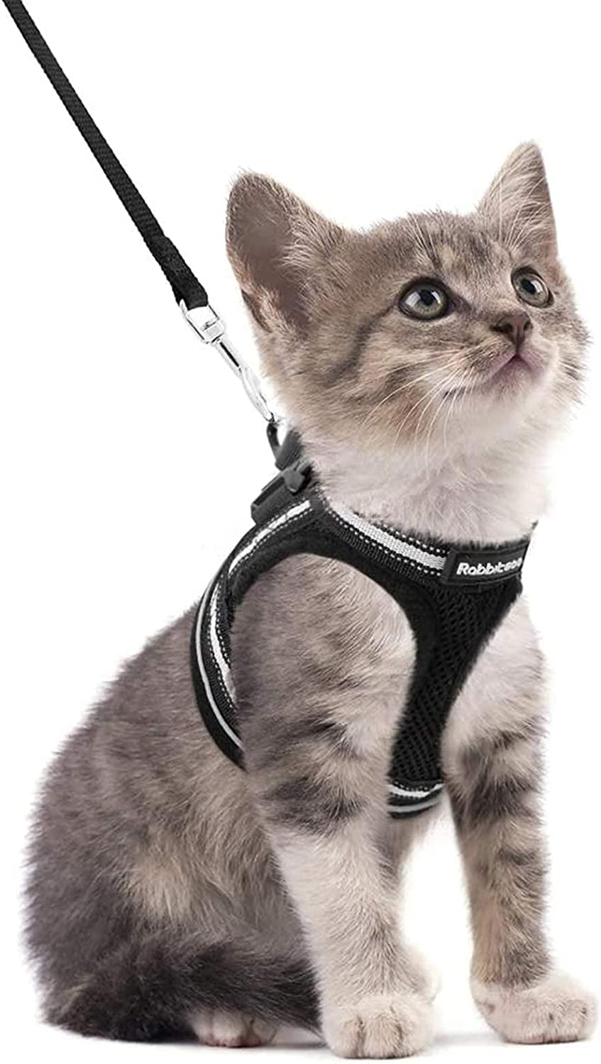 Rabbitgoo Cat Harness and Leash Set for Walking Escape Proof, Adjustable Soft Kitten Vest Harness with Reflective Strip for Cats, Step-In Comfortable Mesh Paded Outdoor Pet Harness, Black, M