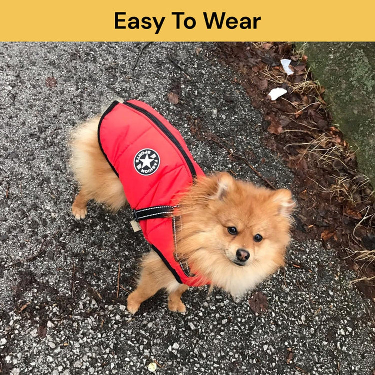 EZONEDEAL Dog Jacket with Harness, Waterproof Winter Dog Coat for Small Medium Large Dogs, Warm Dog Coat for Chihuahua Teddy Labrador French Bulldog (RED, L) image number 5