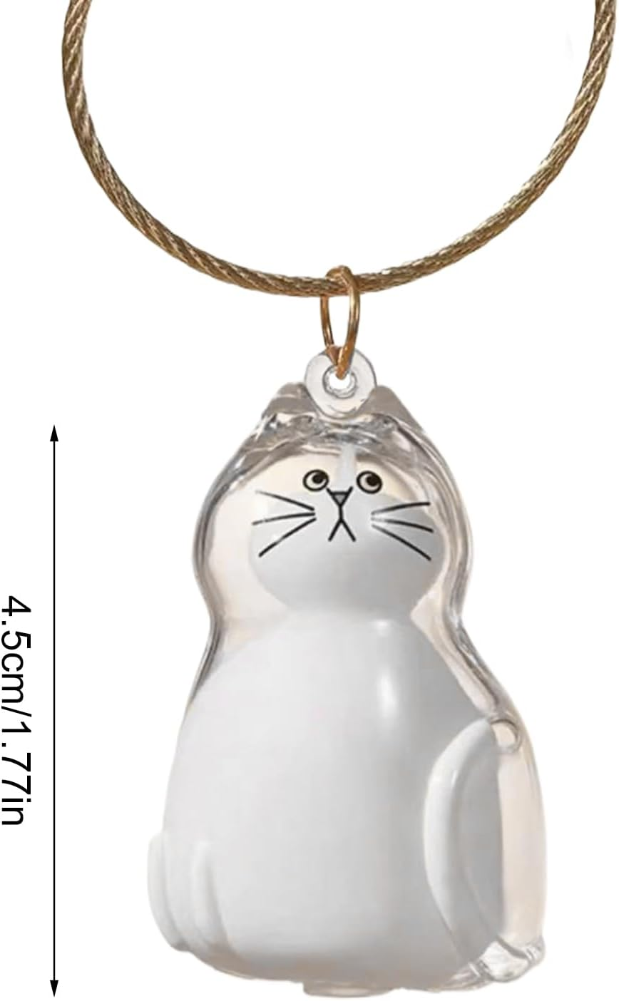 Transparent Cat Hair Storage Box, Cat Hair Storage Bottle, Pet Memorial Keepsake, with Meaningful Sympathy, Clear and Compact Design, 4.5Cm, for Friends & Family image number 1