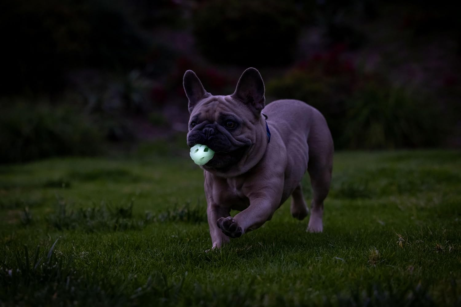 Chuckit! MAX Glow AIR Fetch Small 5Cm - 2Pk image number 4