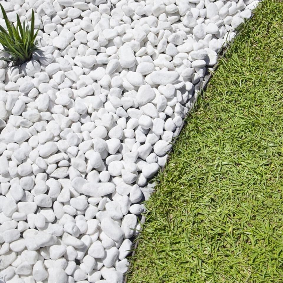 Leona Co 750G White Gravel, 1-3Cm White Pebbles for Indoor Plants. White Stones for Succulents, Planters, Vase and Outdoor Garden Landscaping