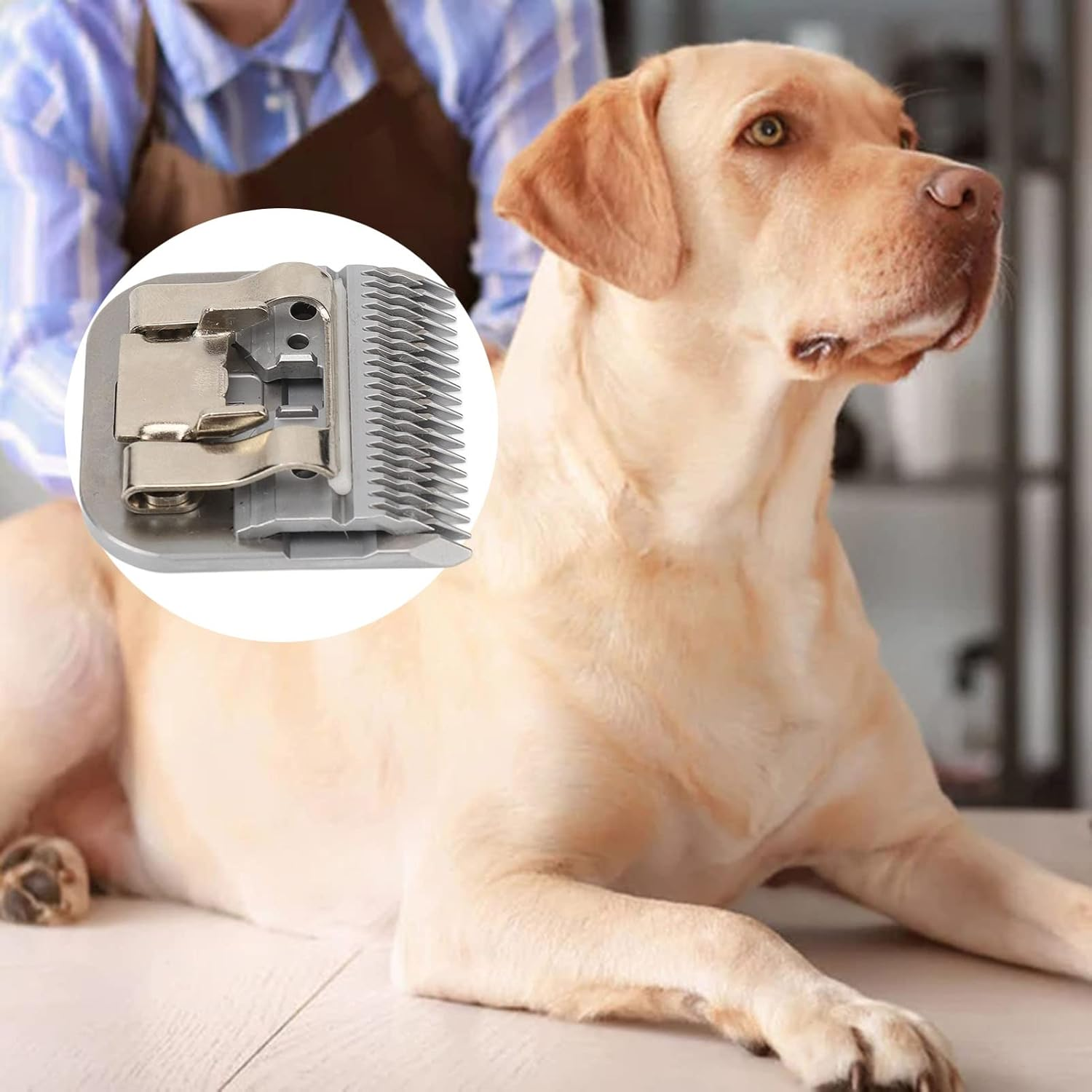 Dog Clipper Blade, 7F 3.2Mm Cutting Length Pet Dog Grooming Clipper Blades, Long Lasting Carbide Steel Clippers Blade for Pet image number 1