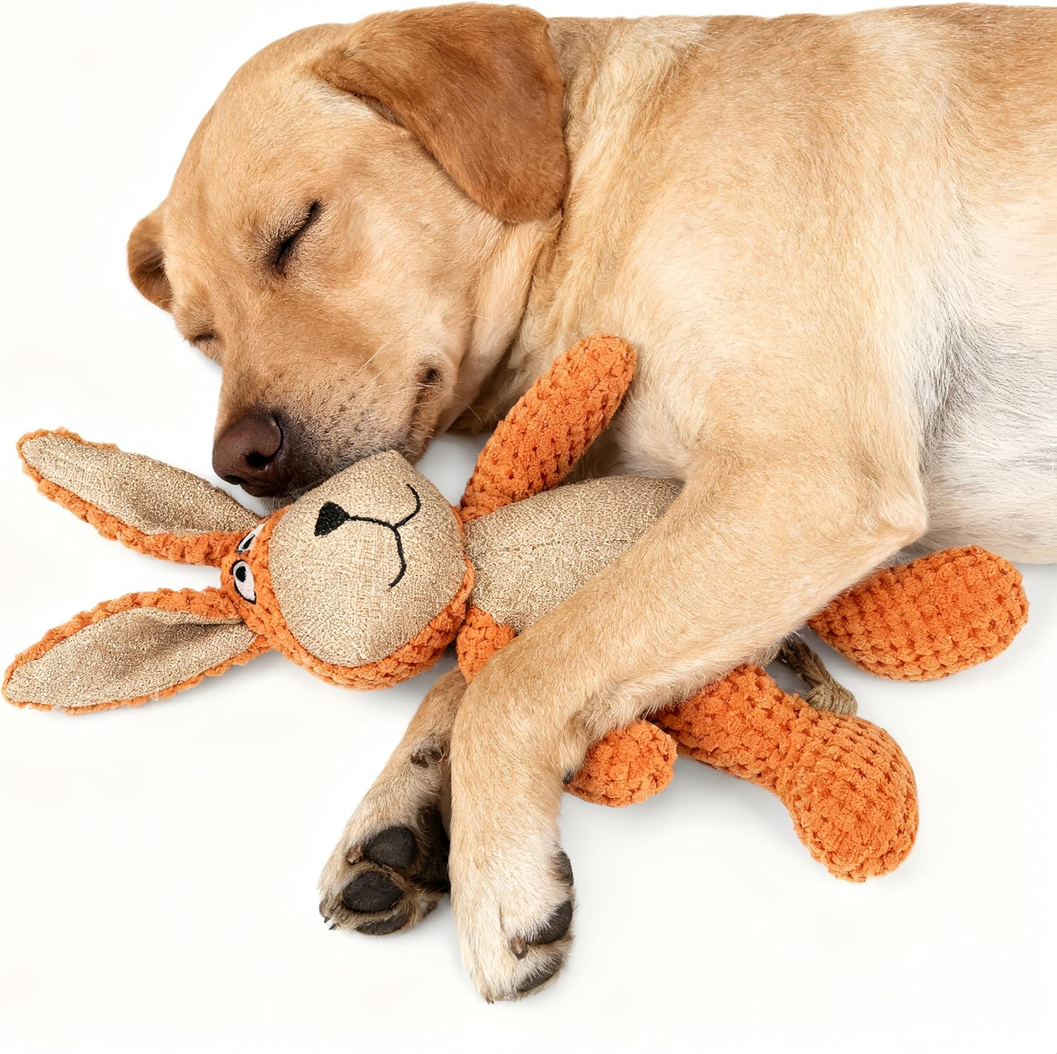 Dog Squeaky Plush Toy - No Stuffing, Durable Chew Toy for Small Medium Large Dogs, Crinkle Paper Dog Toy for Aggressive Chewers, Puppy & Large Breed Chewing Toys