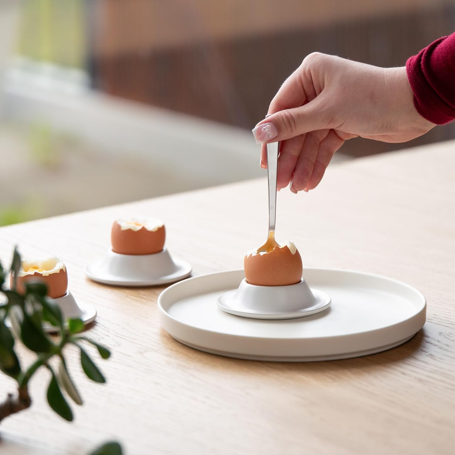 MIAMIO &ndash; Egg Cups 4-Piece Ceramic Set, Stoneware Egg Cups with Tray for Eggshells, Breakfast Egg Cup in Restaurant Quality &ndash; Dishwasher Safe (White)