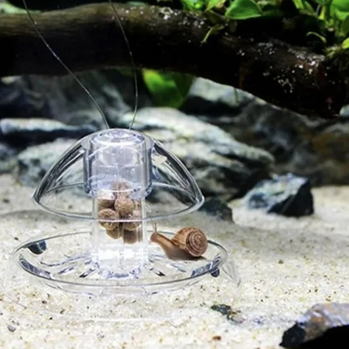 2-Pack Snail Trap, Planaria Trap,Transparent Catcher, Plastic Aquarium for Aquarium Fish Tank Planaria Leech Tiny Snail image number 2