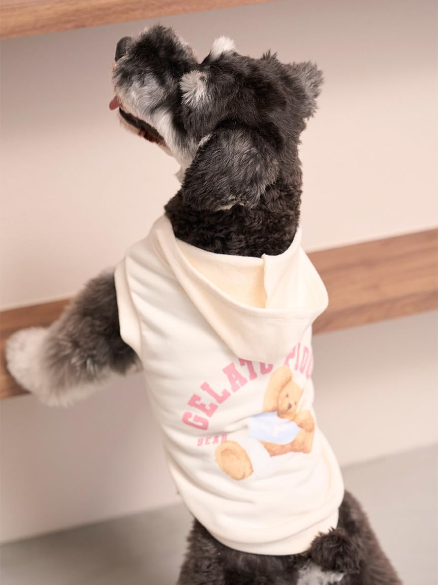 Gelato Pique Cat & Dog PAGG254589 IVR S Sporty Bear Fleece Pullover image number 5