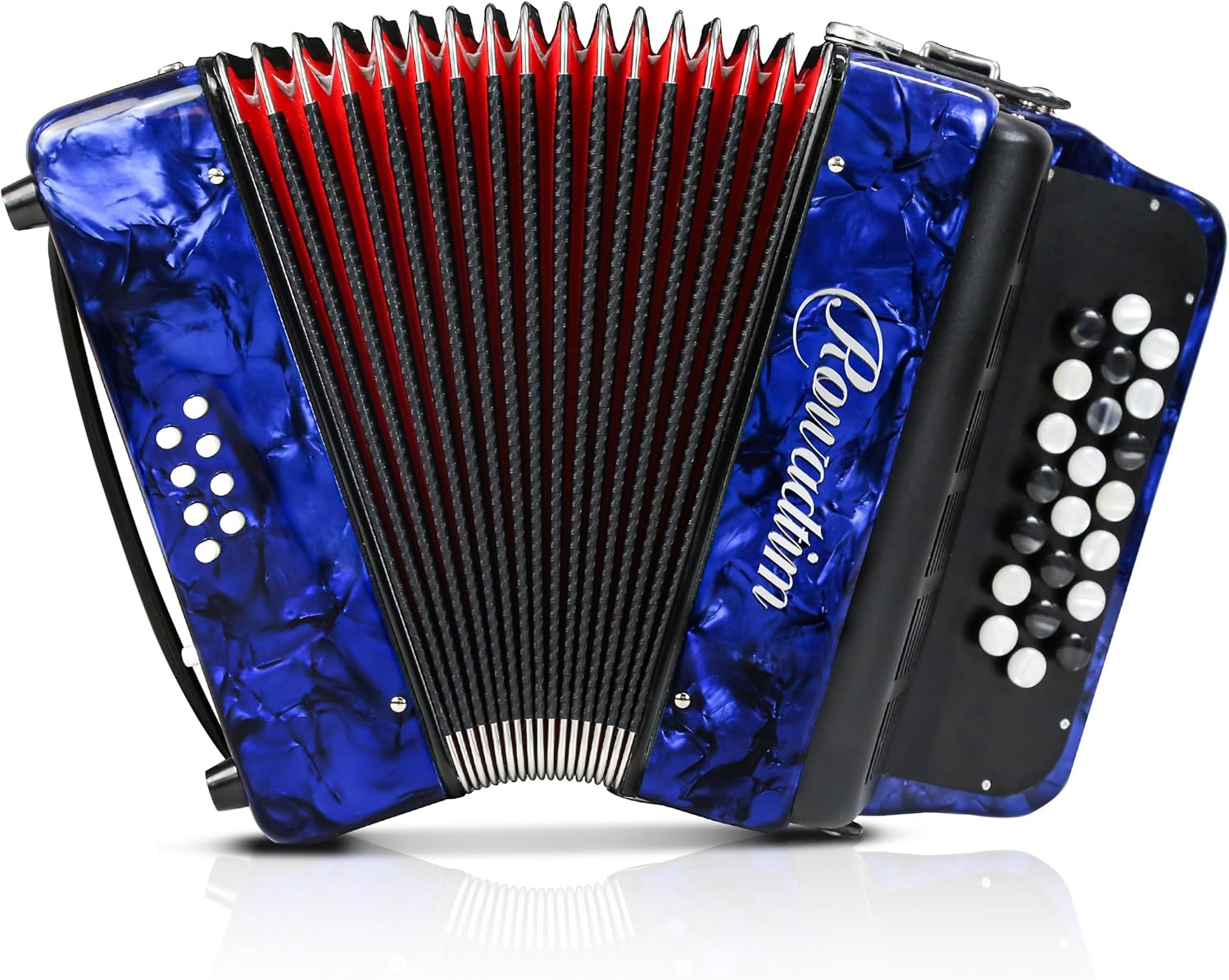 Accordion - 22 Keys 8 Bass, Lightweight Piano Accordion for Beginners, Vibrant Design for Beginners and Adults for Easy Learning (8 Bass, Black)