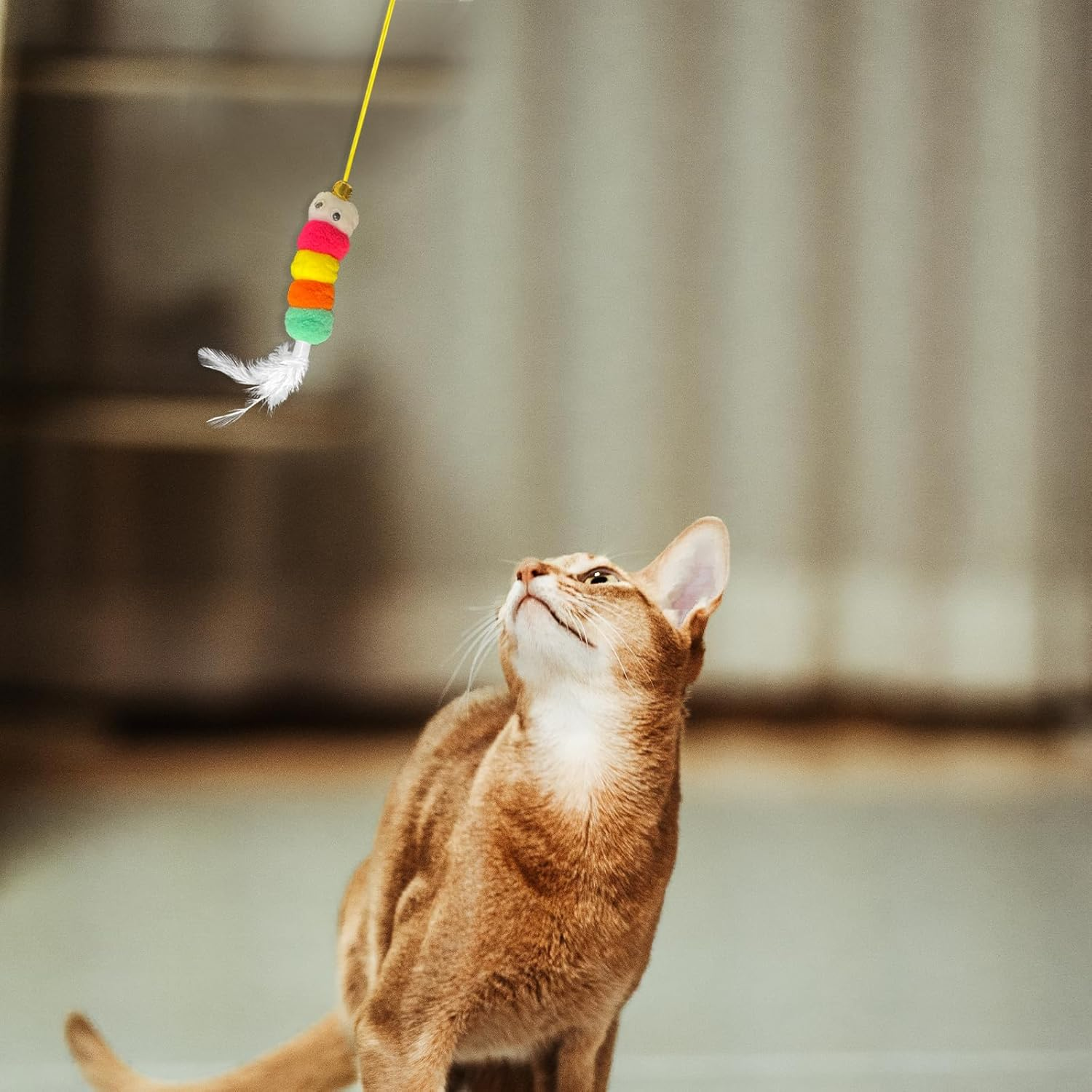 TEAONE Retractable Cat Toys, 4 PCS Hanging Cat Toy for Kittens and Puppies (4 Styles) image number 5