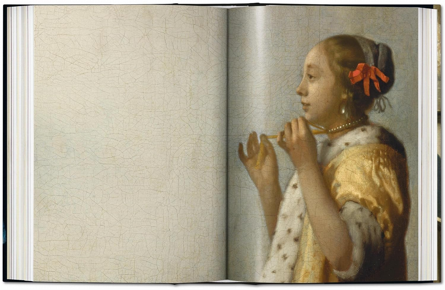 Vermeer. the Complete Works. 40Th Ed. image number 4