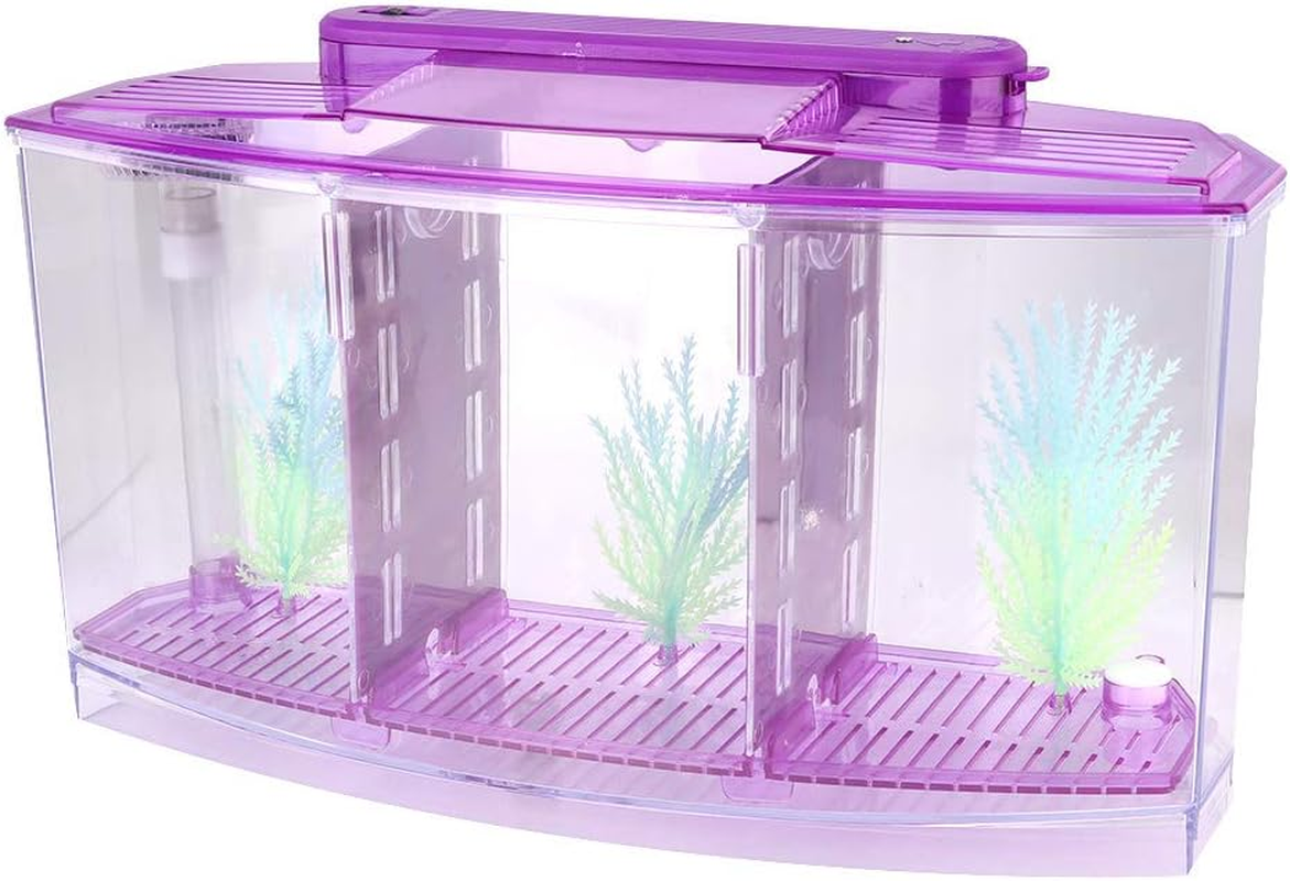 Three Areas Small Aquarium, Transparent Fish Tank, Desktop with Water Change Valve with LED Light for Betta Small Fishes(Purple 11X3.9X5.9In) image number 4