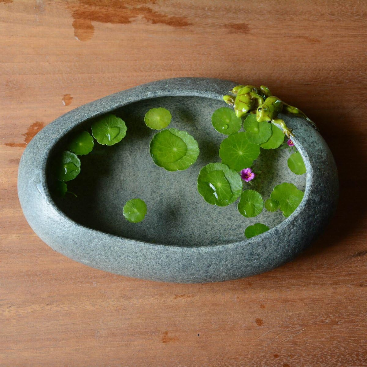 Top Collection Garden Frogs on Long Functional Stone Flower Pot Planter Figurine image number 5