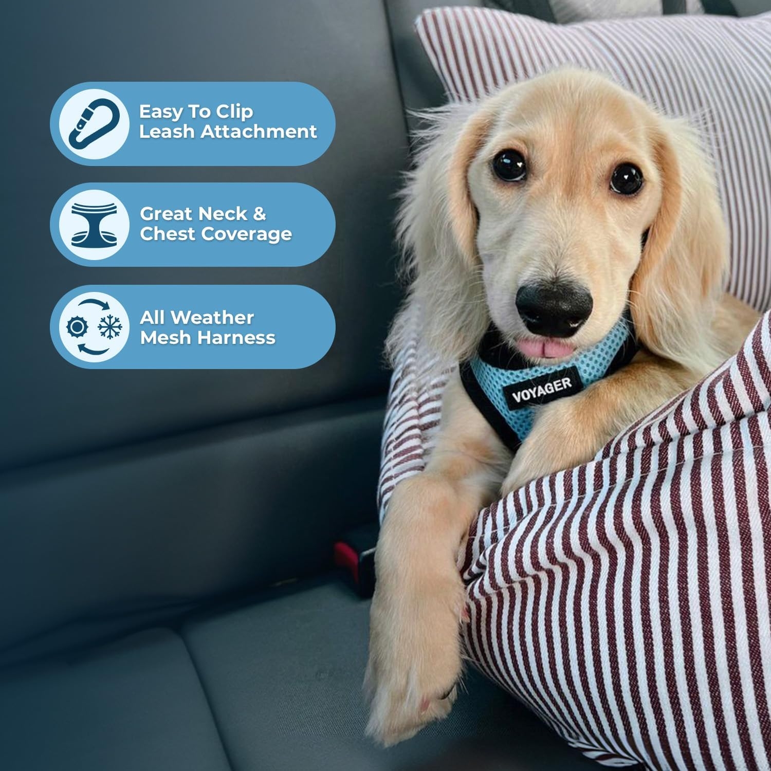 Voyager Step-In Air All Weather Mesh Harness and Reflective Dog 5 Ft Leash Combo with Neoprene Handle, for Small, Medium and Large Breed Puppies by Best Pet Supplies - Baby Blue/Black Trim, X-Small image number 7