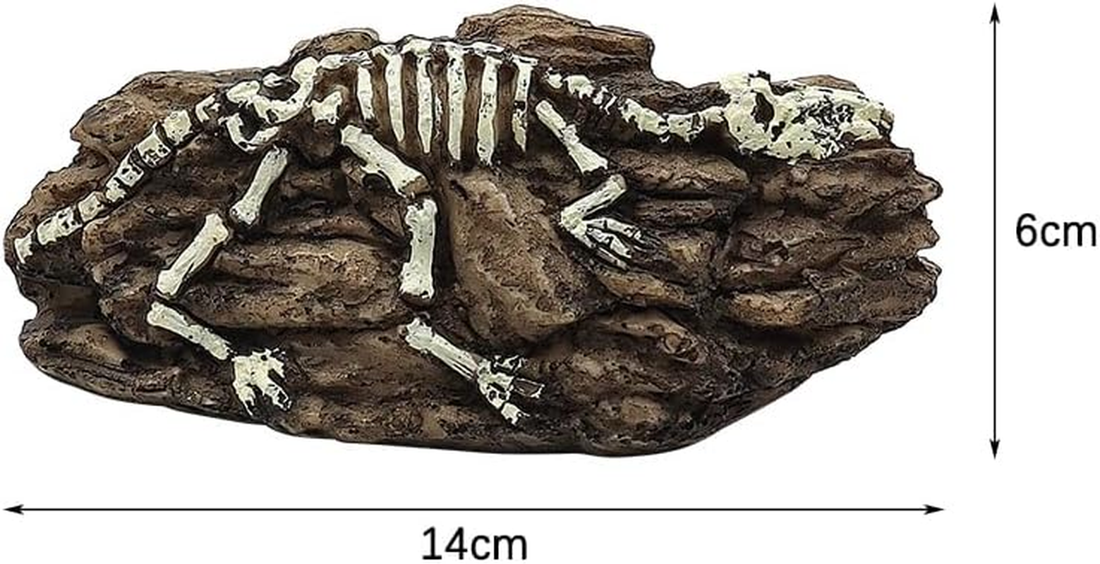 NUZAMAS Aquarium Dinosaur Fossil Decoration Dinosaur Ornaments Reptile Shelter Artificial Dinosaur Hideout Cave Landscape Fish Tank Decoration Landscape Hiding House image number 3