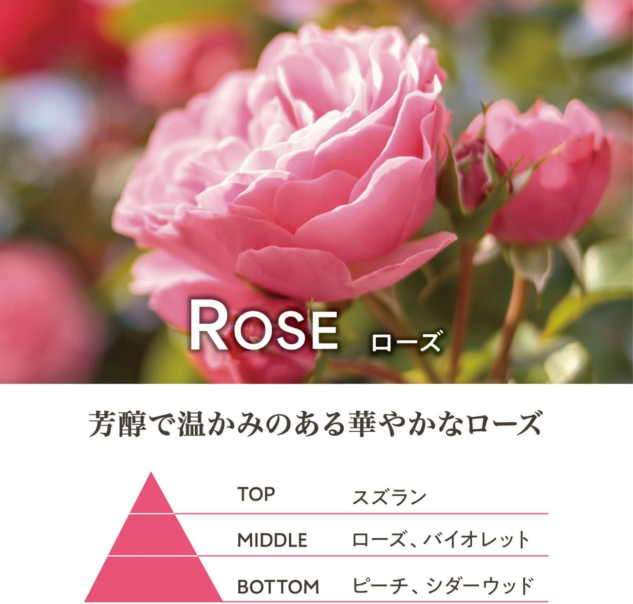 Panierdessens Panier Desense Essentials CA Liquid Marseille Soap, Rose Body Soap, &Phi;3.3 X 5.8 Inches (84 X 148 Mm) image number 3