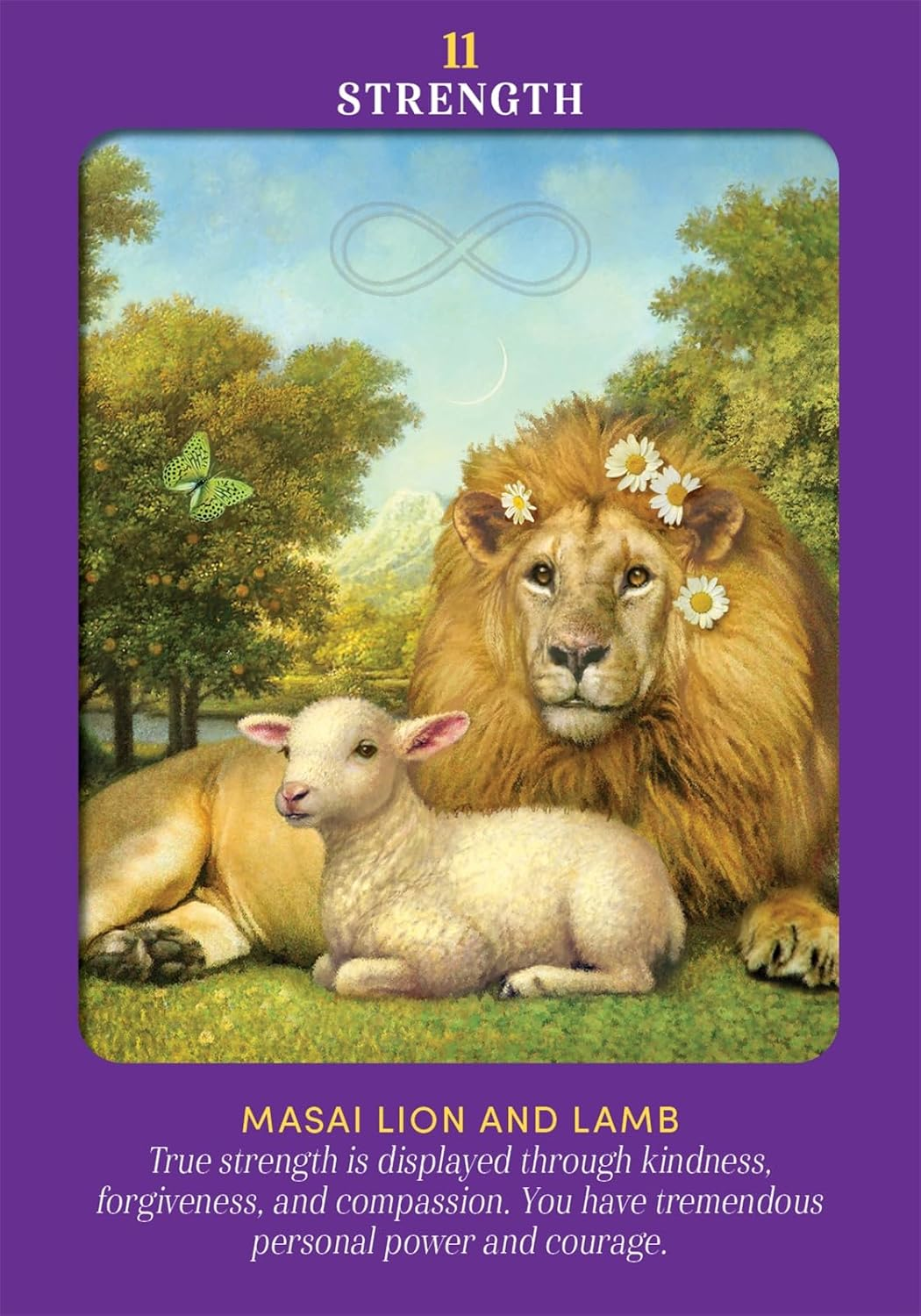 Animal Guides Tarot: a 78-Card Deck and Guidebook image number 4
